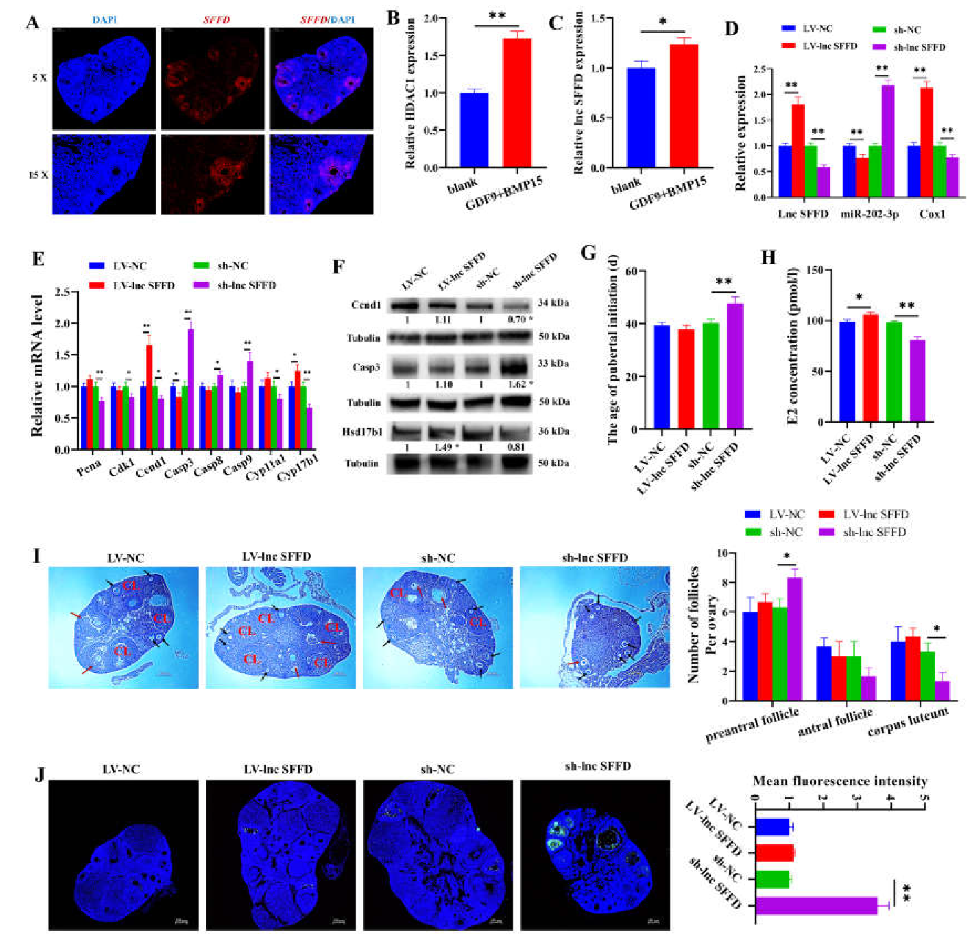 Cells 12 02734 g006 Cells 12 02734 g006