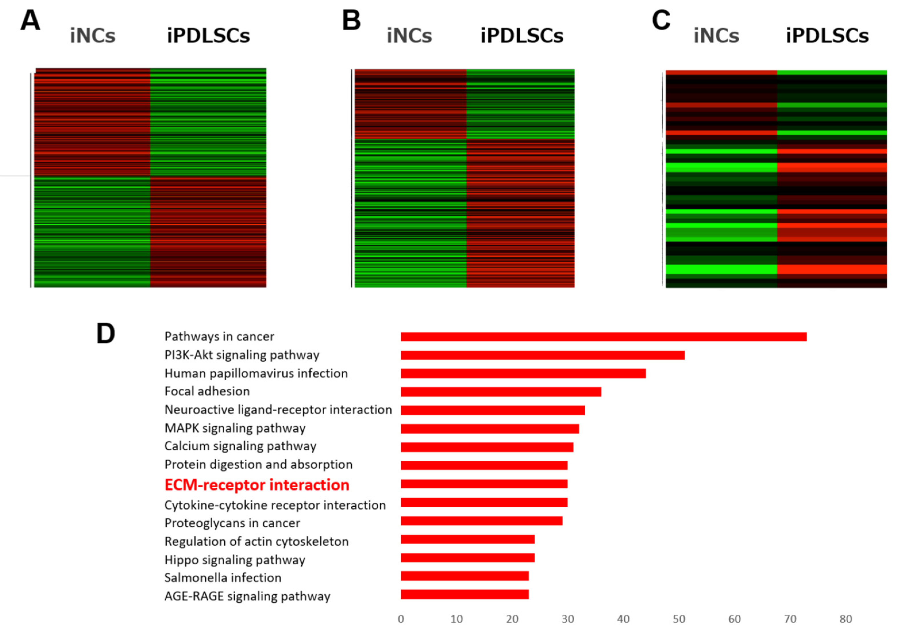 Cells 12 02743 g003a