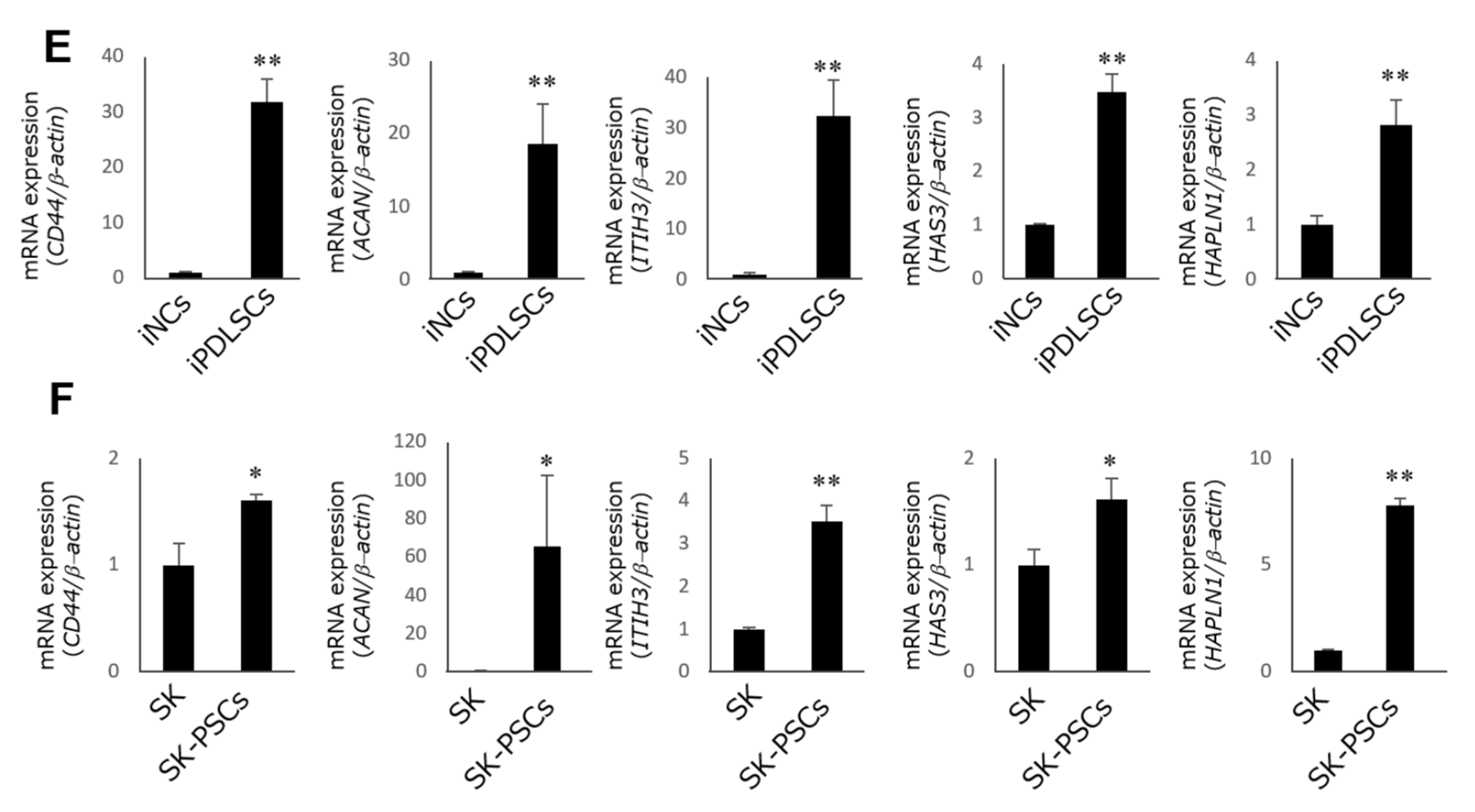 Cells 12 02743 g003b
