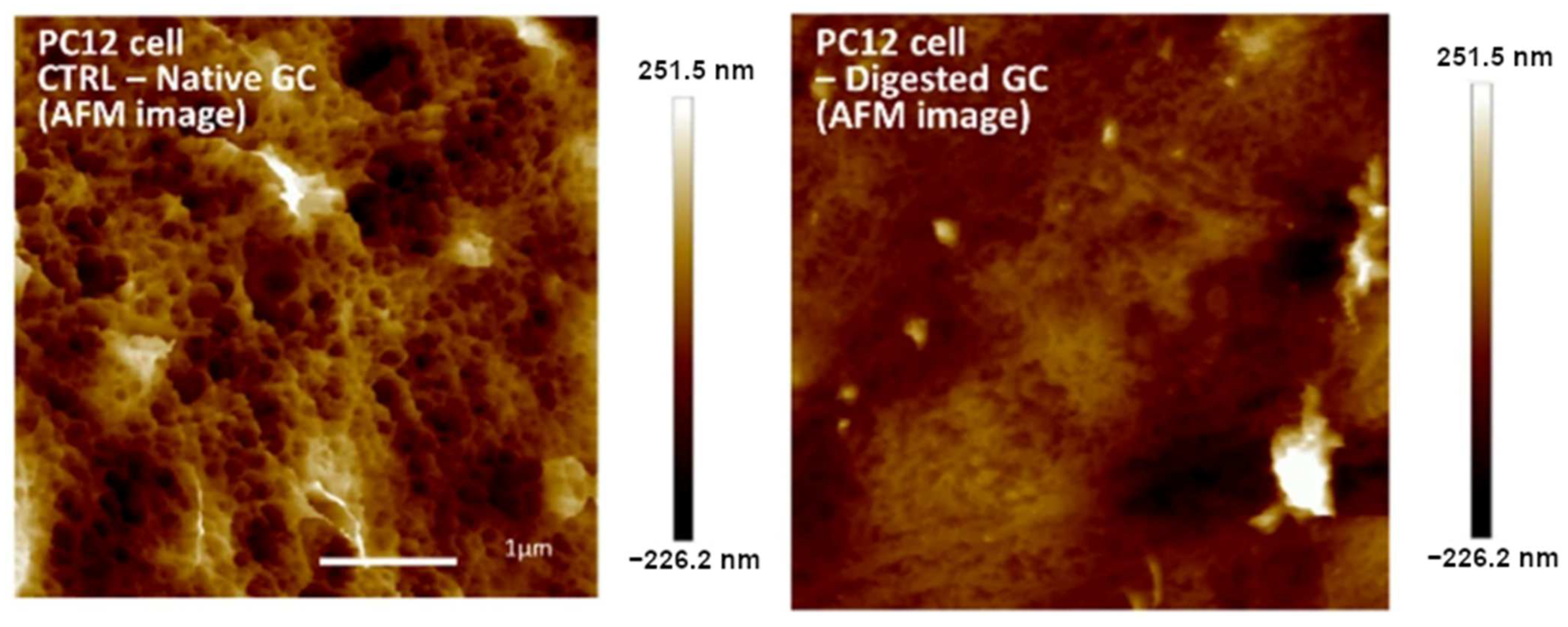 Cells 12 02778 g001 Cells 12 02778 g001