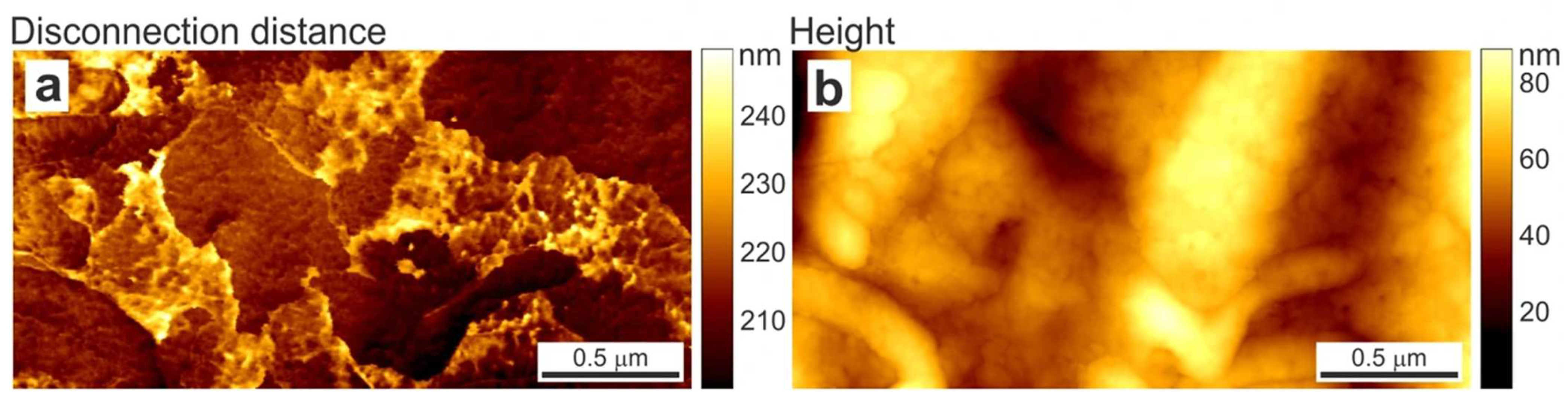 Cells 12 02778 g002 Cells 12 02778 g002