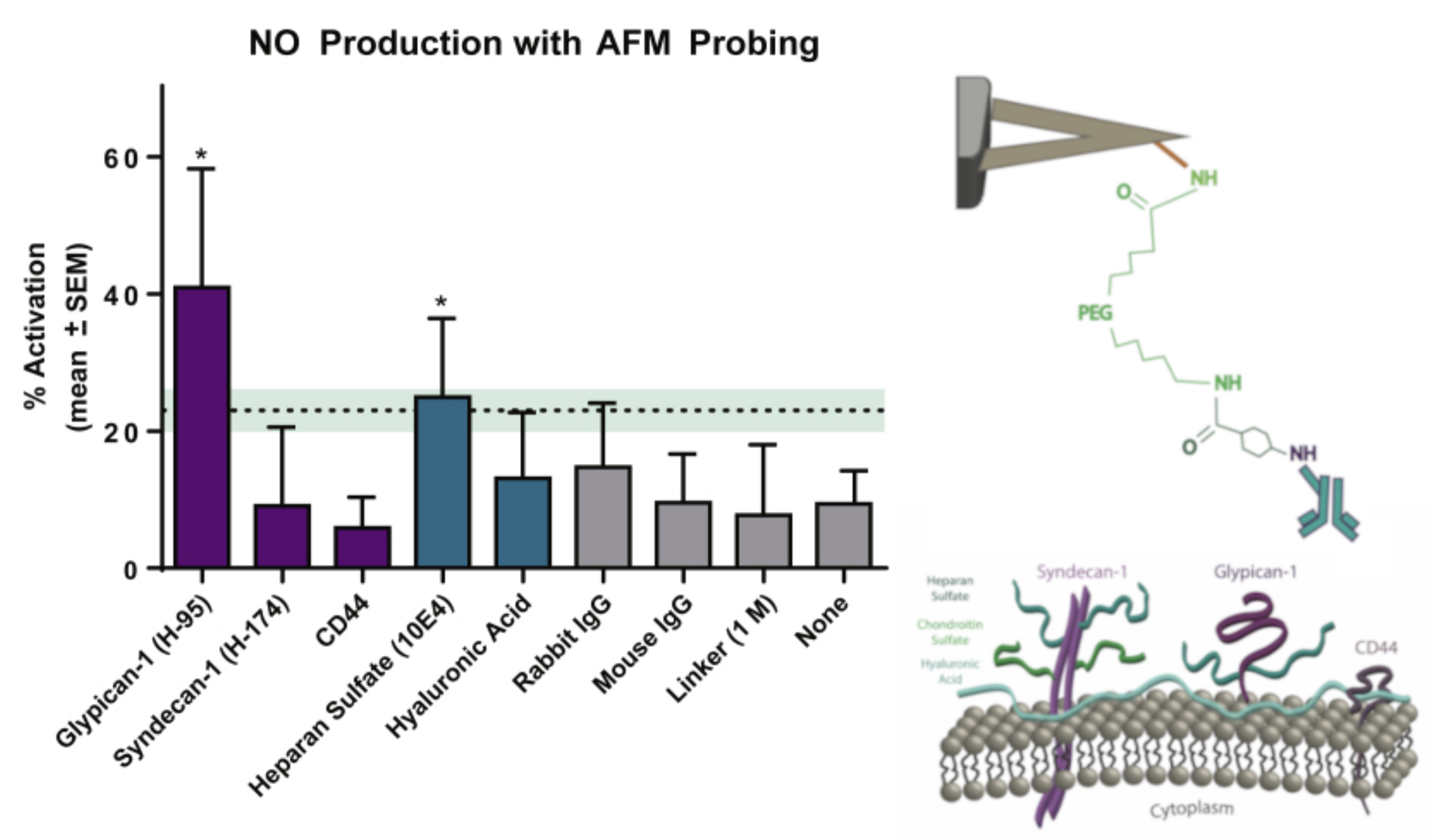 Cells 12 02778 g005 Cells 12 02778 g005