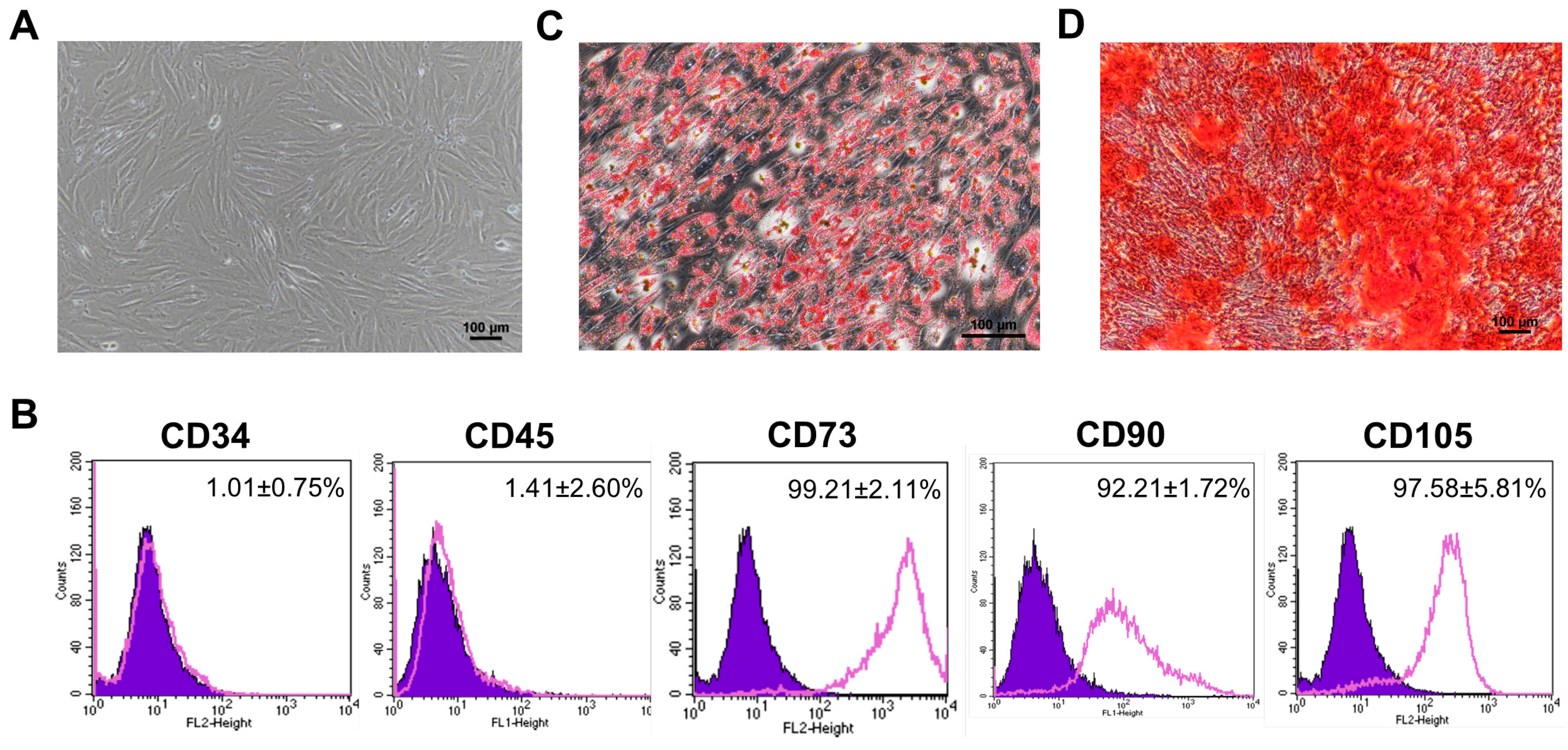 Cells 12 02788 g001 Cells 12 02788 g001