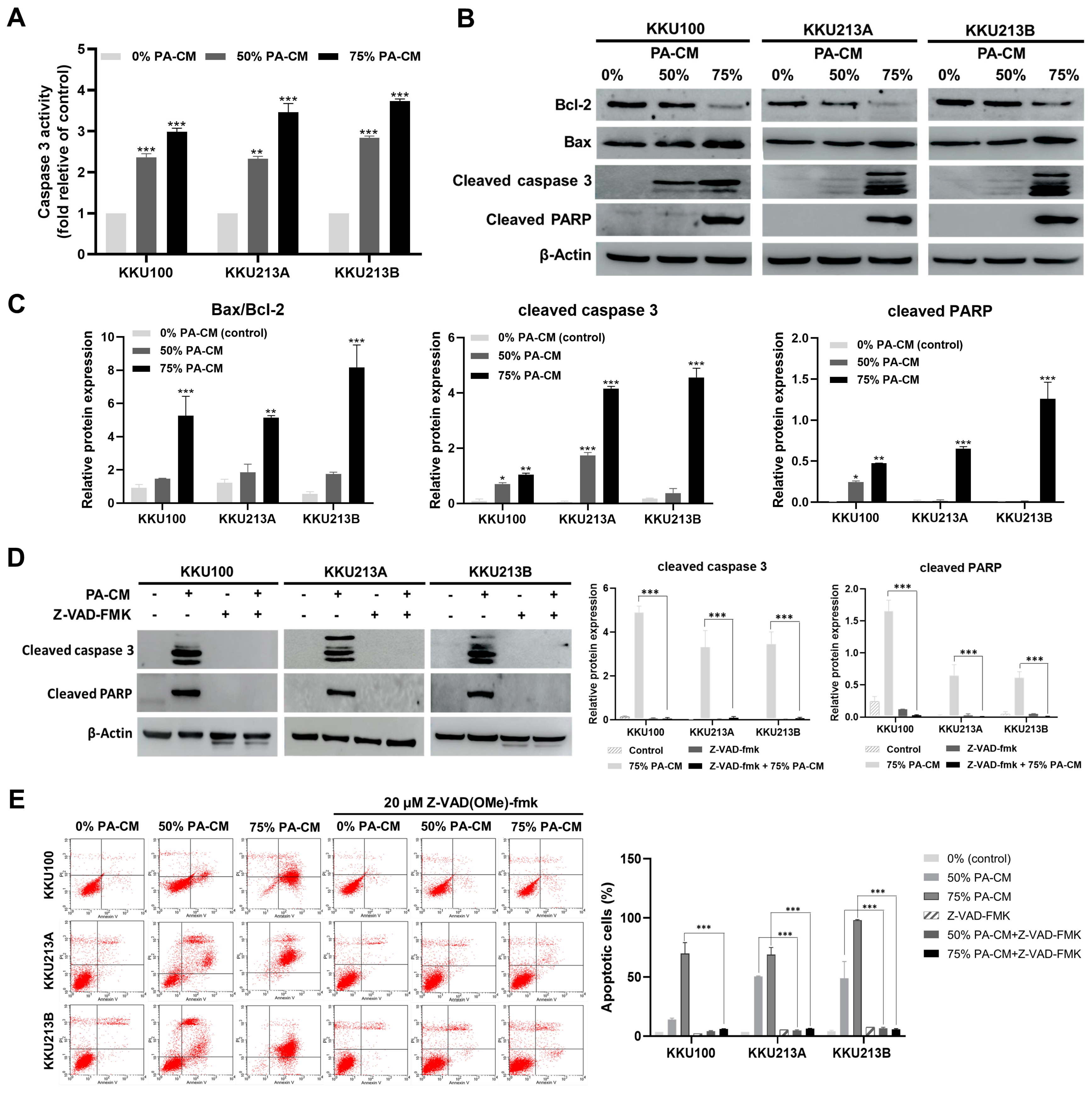 Cells 12 02788 g004 Cells 12 02788 g004
