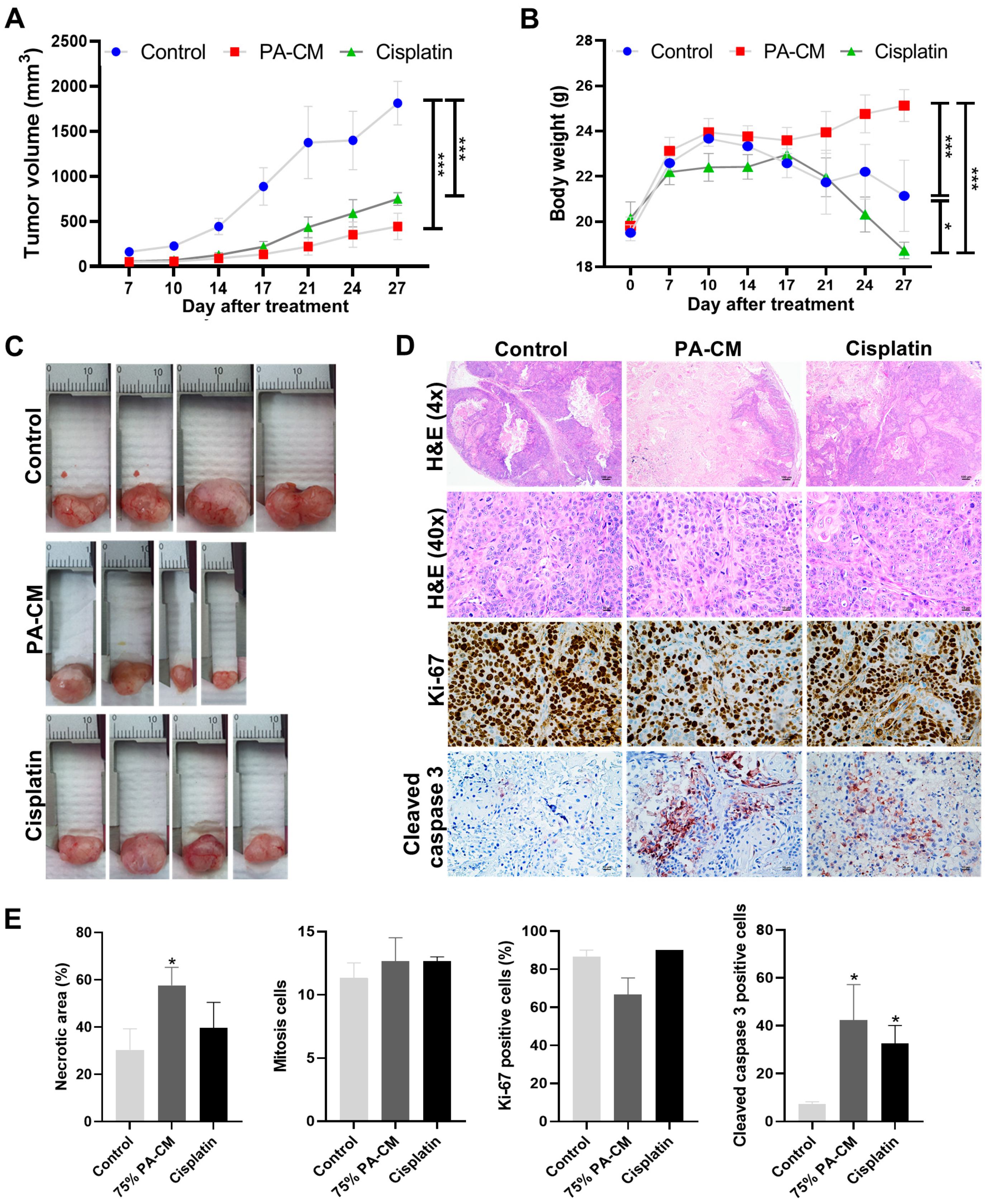 Cells 12 02788 g006 Cells 12 02788 g006