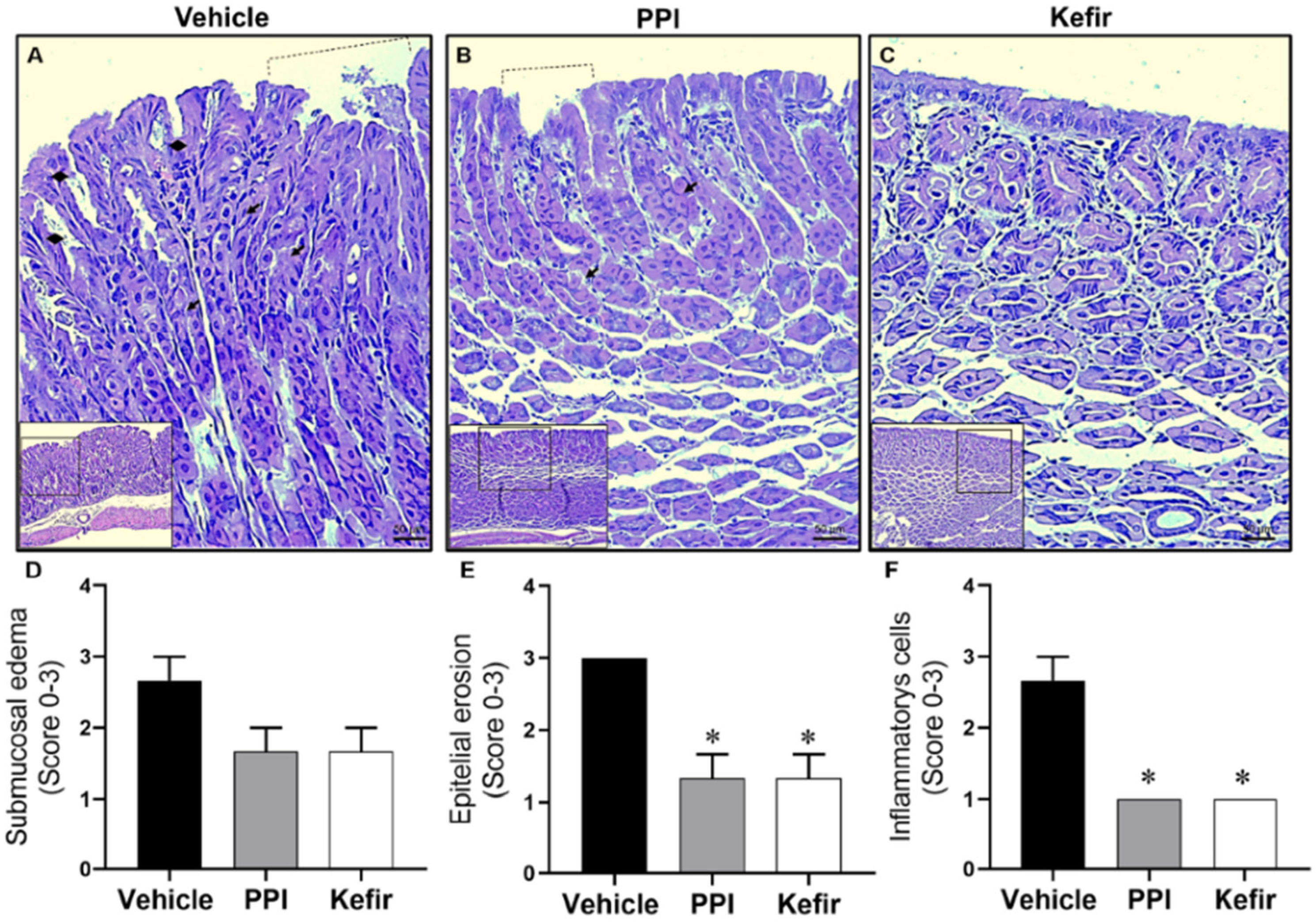 Cells 12 02799 g004 Cells 12 02799 g004
