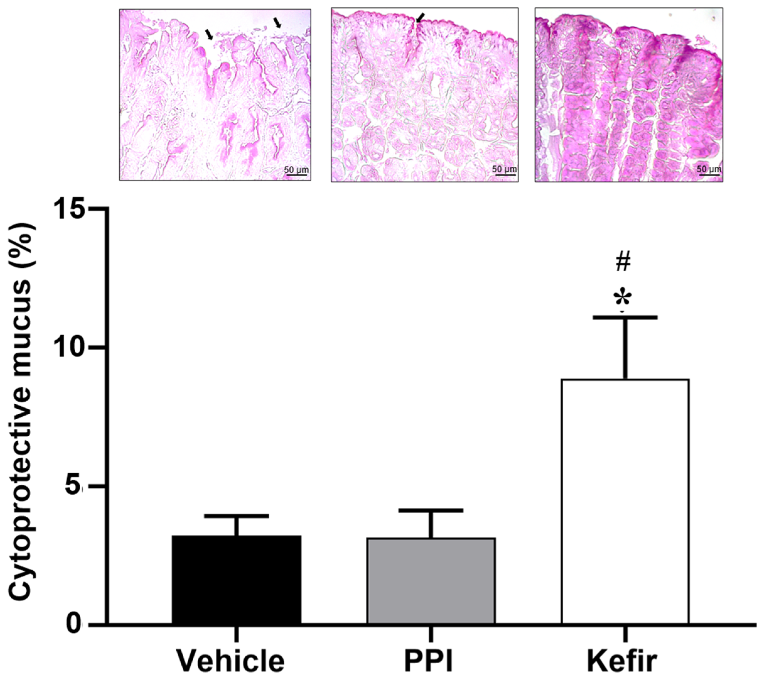 Cells 12 02799 g005 Cells 12 02799 g005
