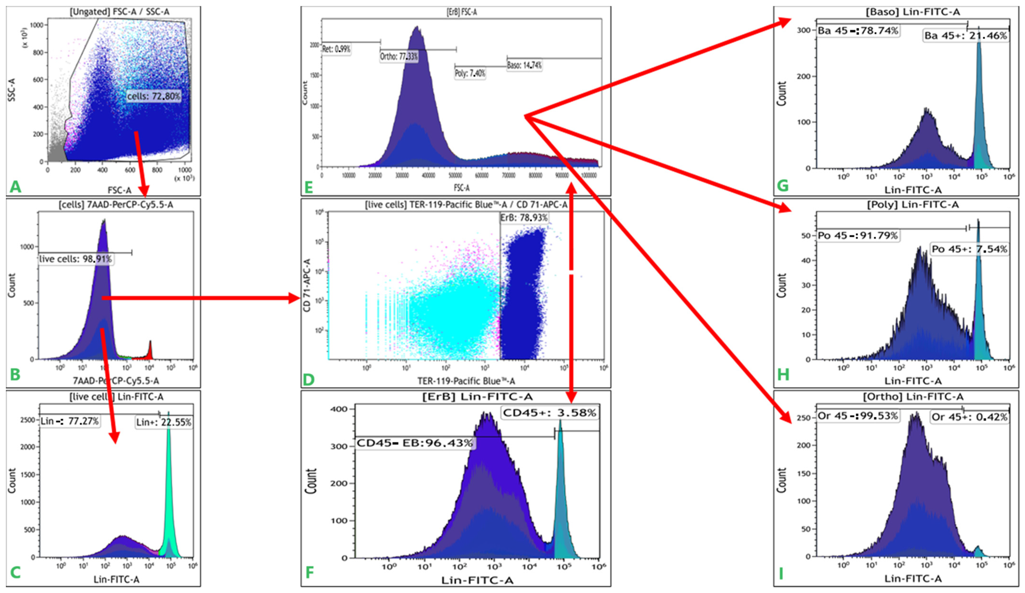 Cells 12 02810 g001 Cells 12 02810 g001