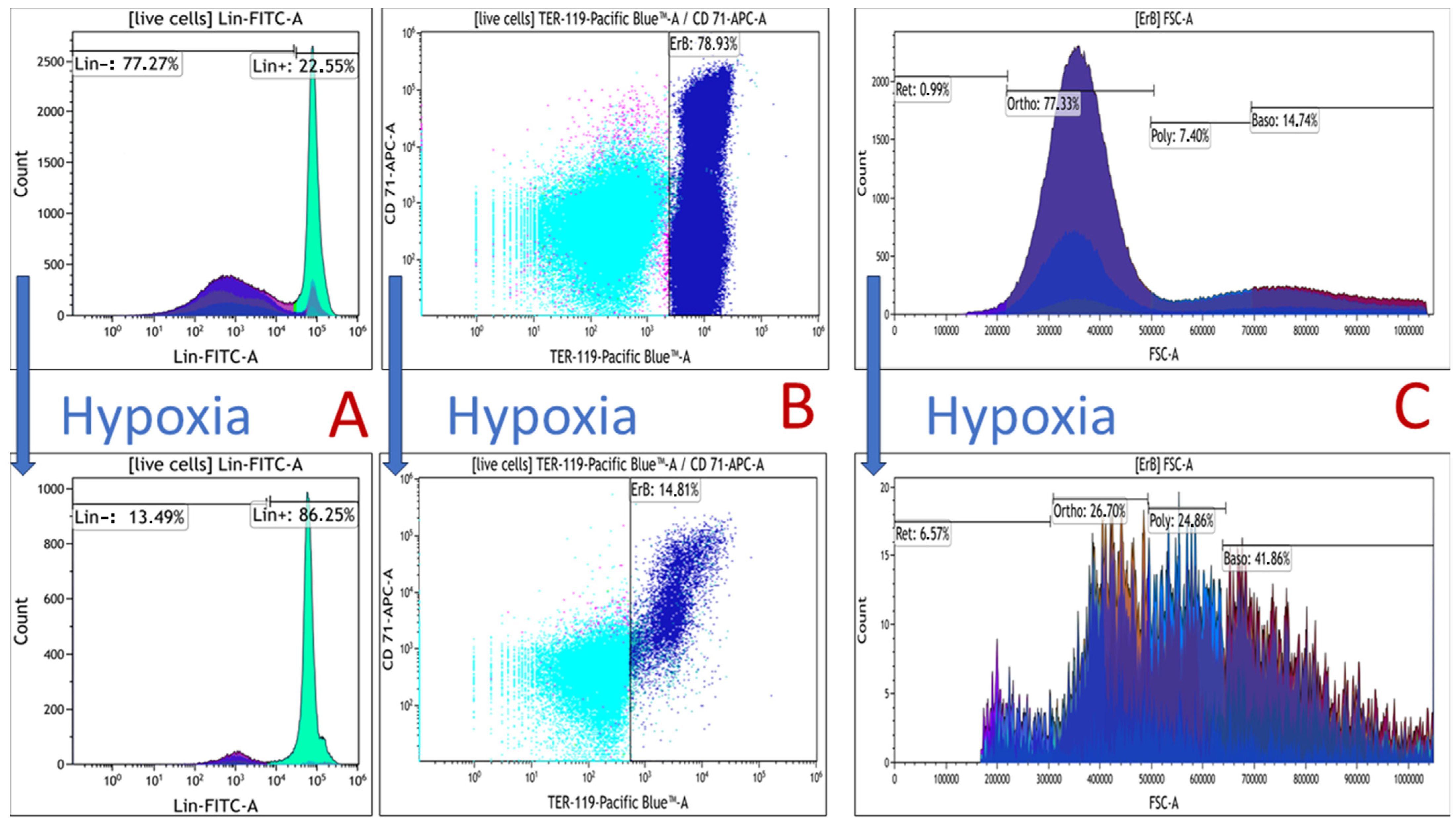 Cells 12 02810 g003 Cells 12 02810 g003