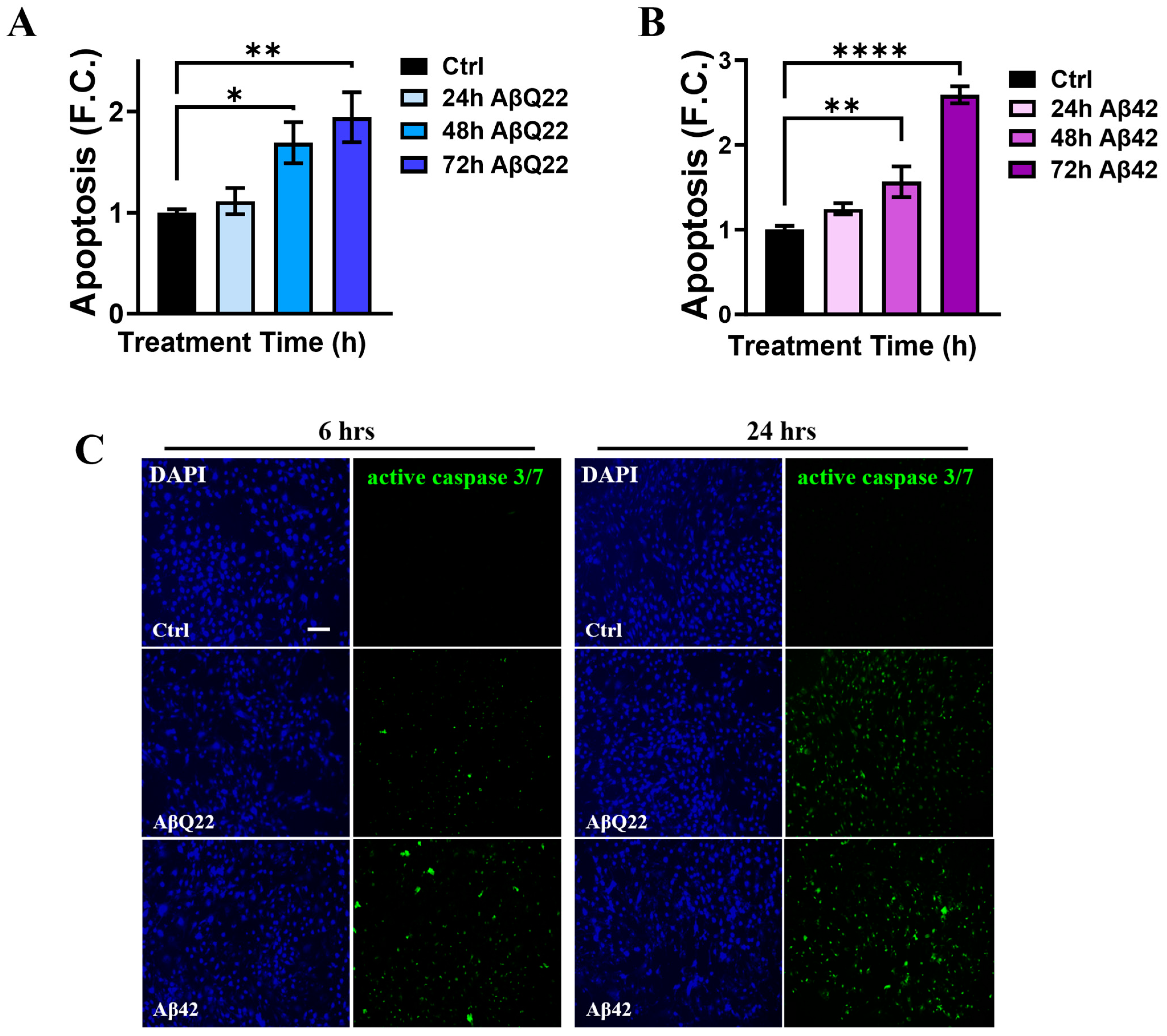 Cells 12 02840 g001 Cells 12 02840 g001