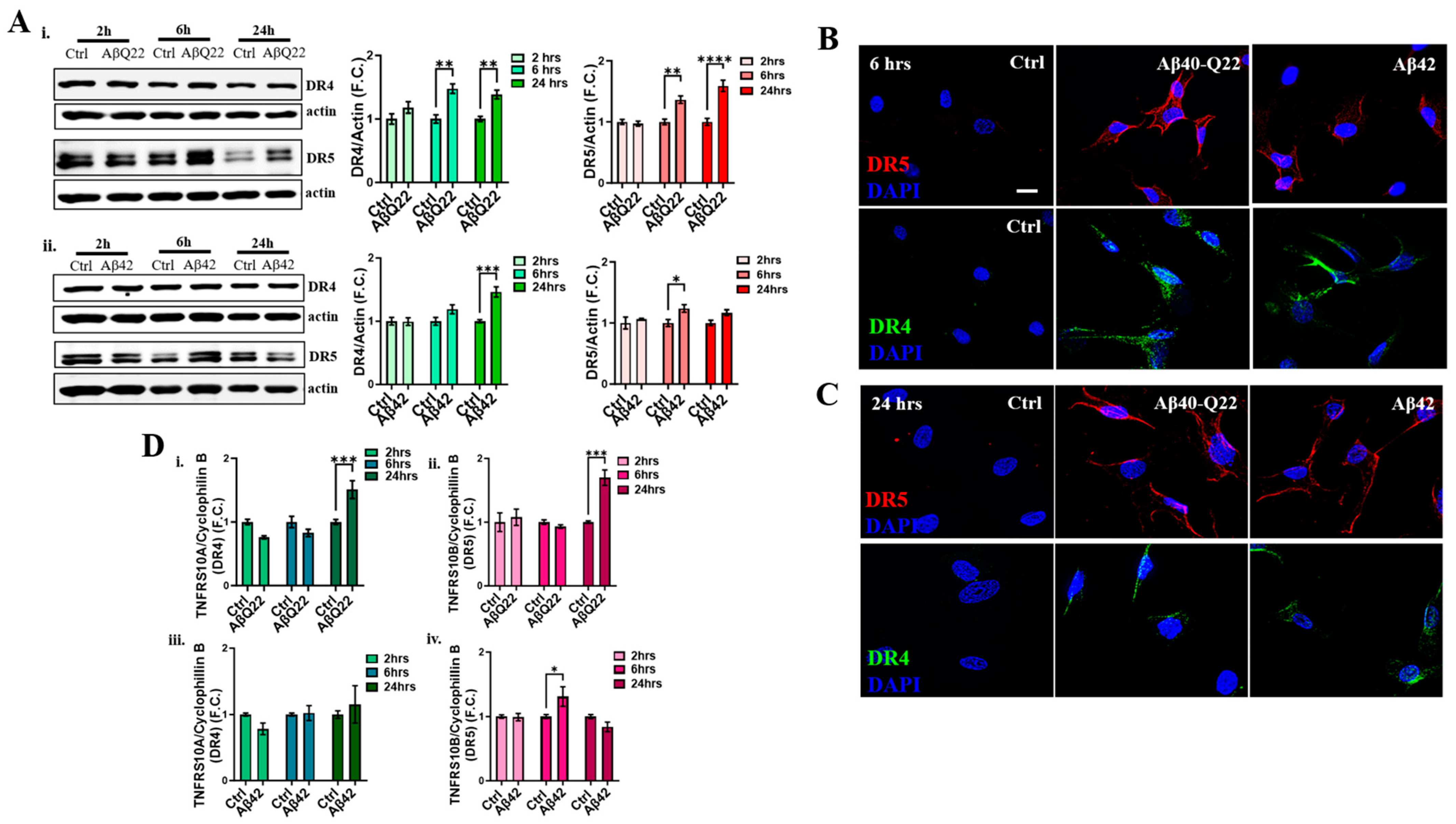 Cells 12 02840 g003 Cells 12 02840 g003