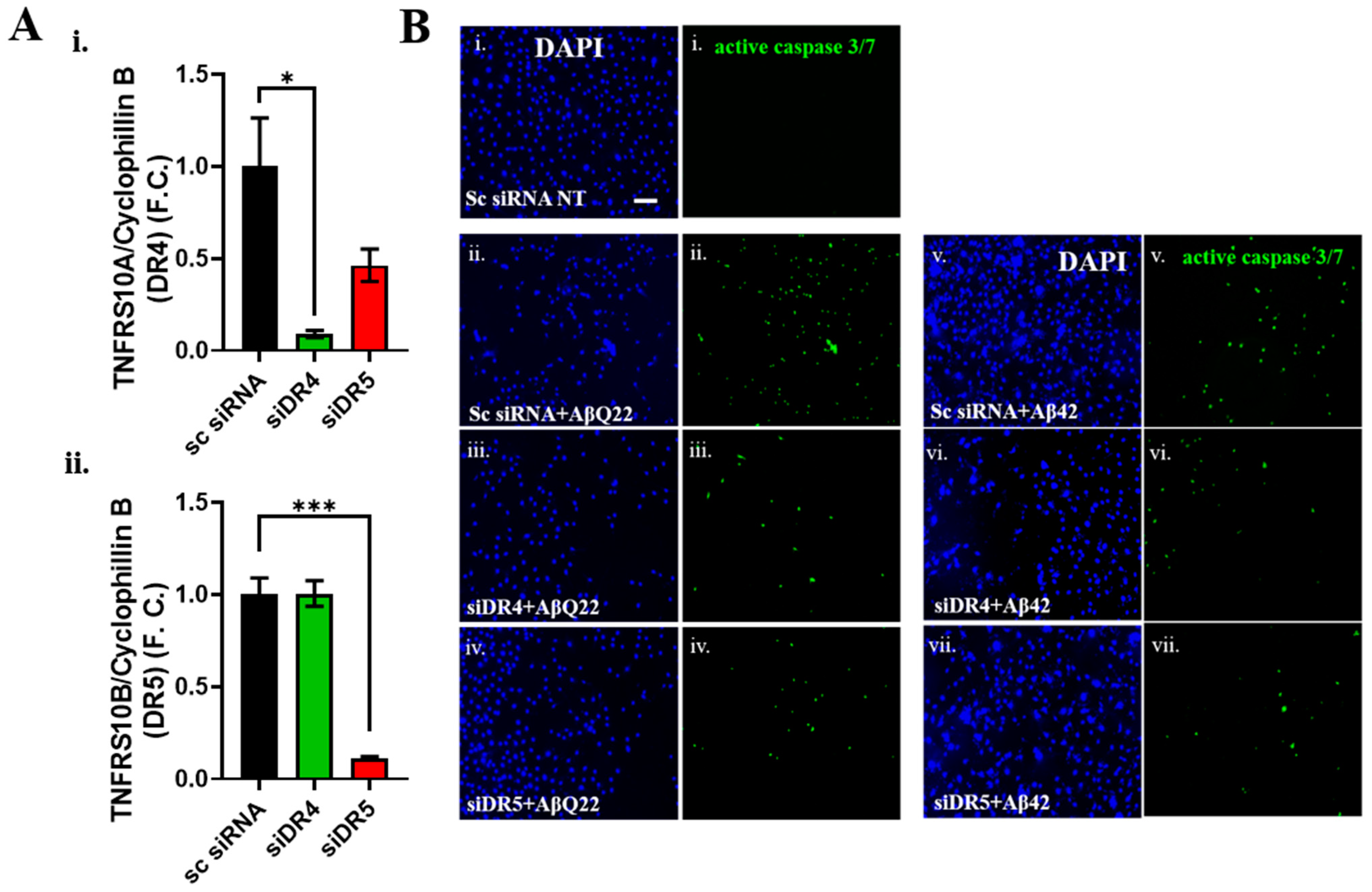 Cells 12 02840 g004 Cells 12 02840 g004