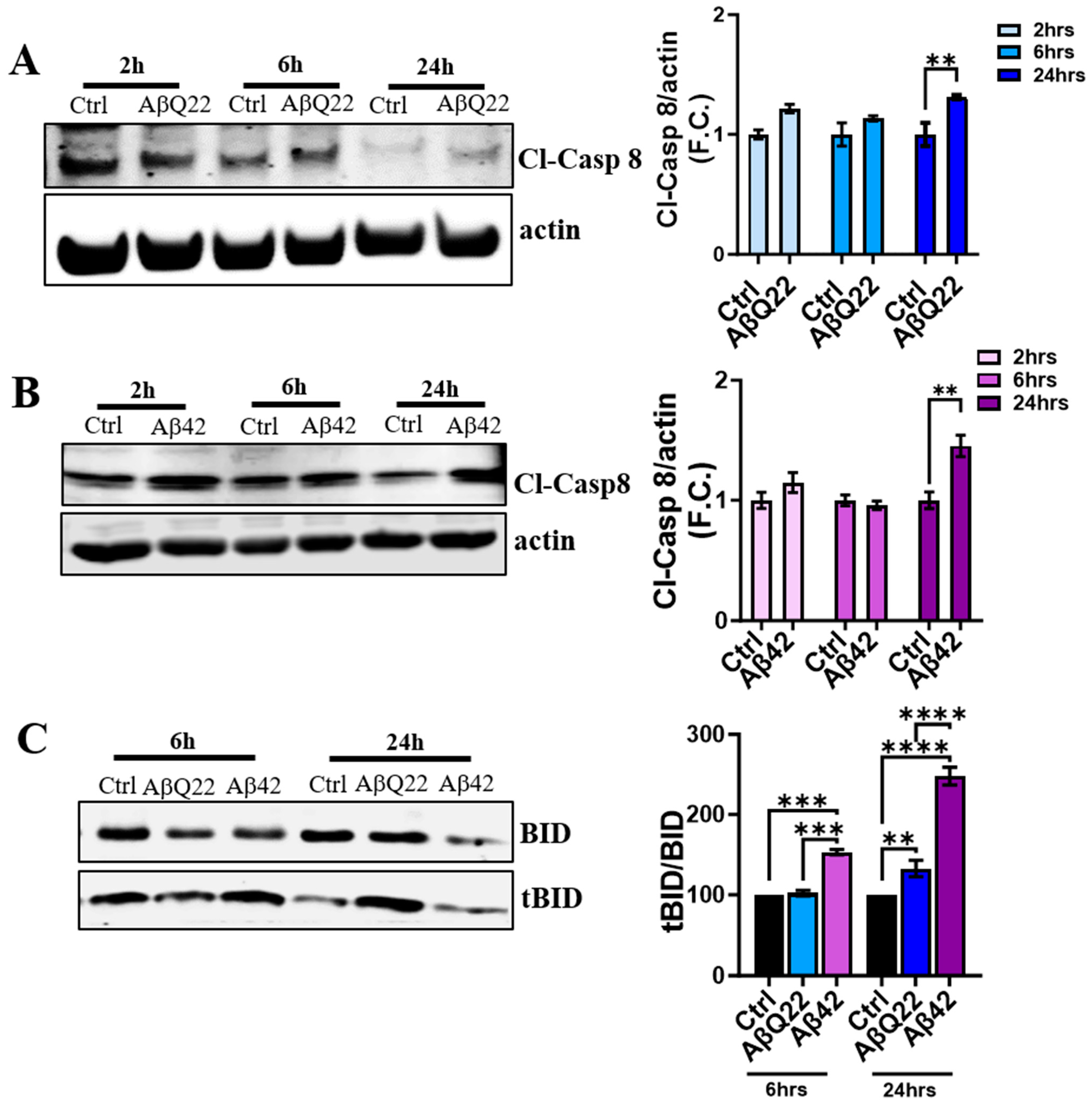 Cells 12 02840 g005 Cells 12 02840 g005