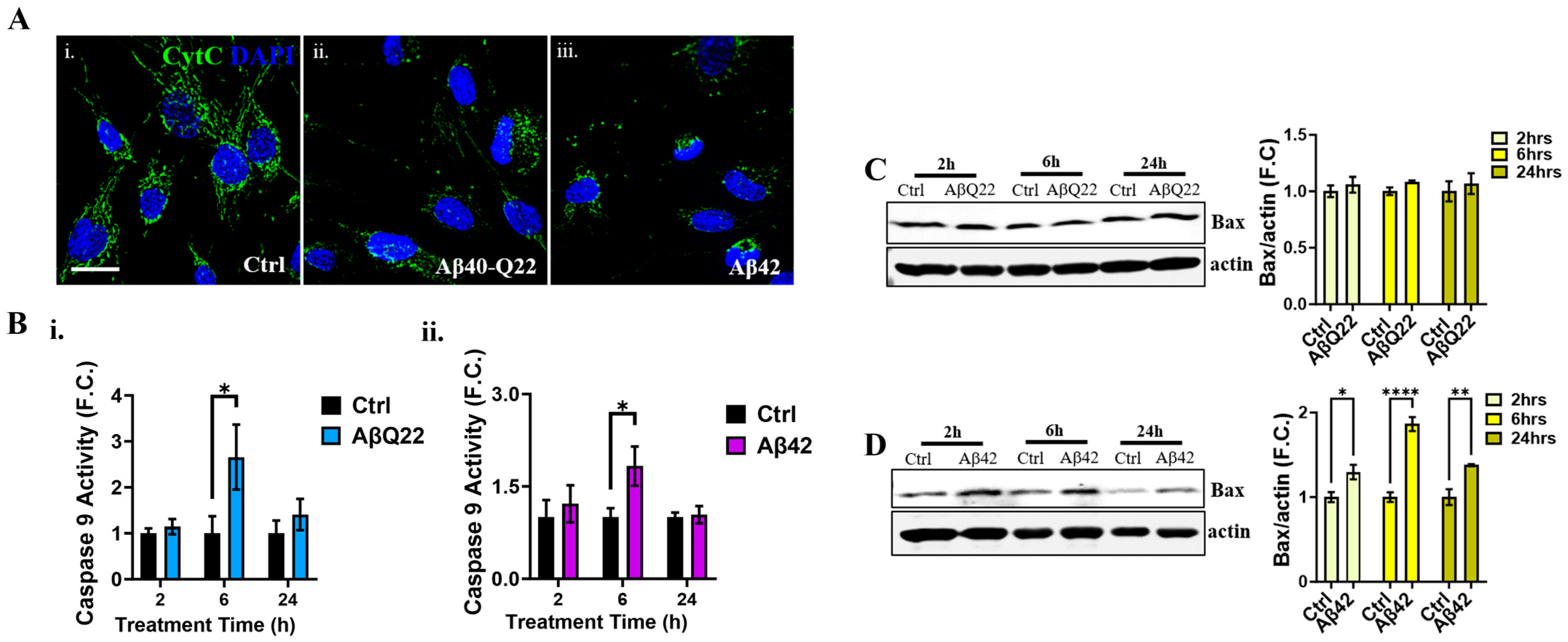 Cells 12 02840 g006 Cells 12 02840 g006
