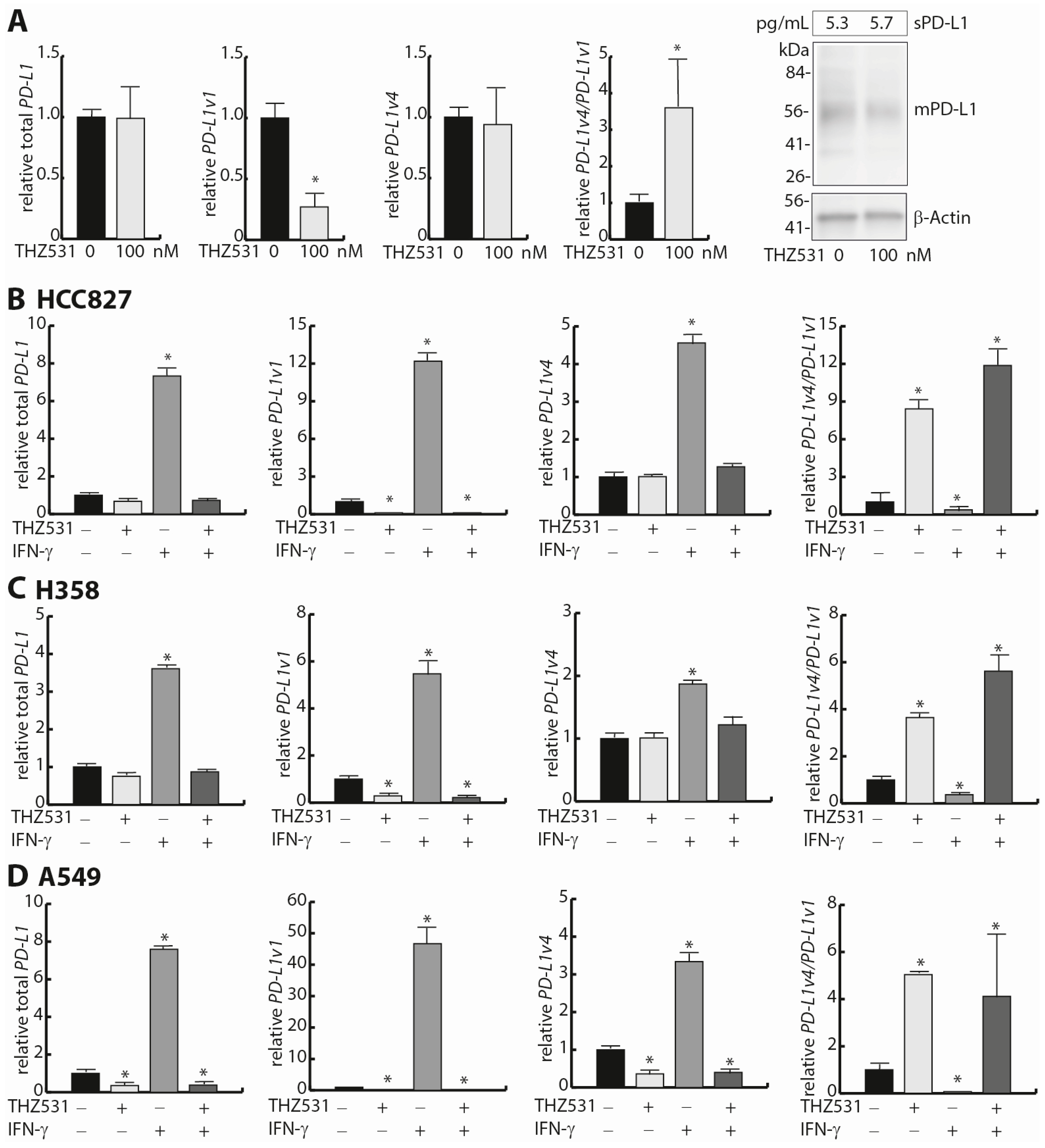 Cells 12 02844 g003 Cells 12 02844 g003