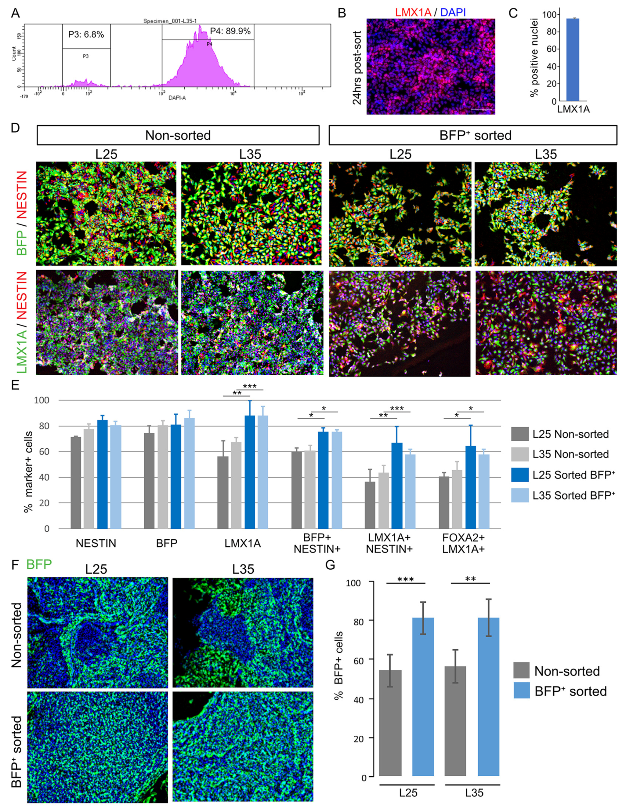 Cells 12 02860 g003 Cells 12 02860 g003