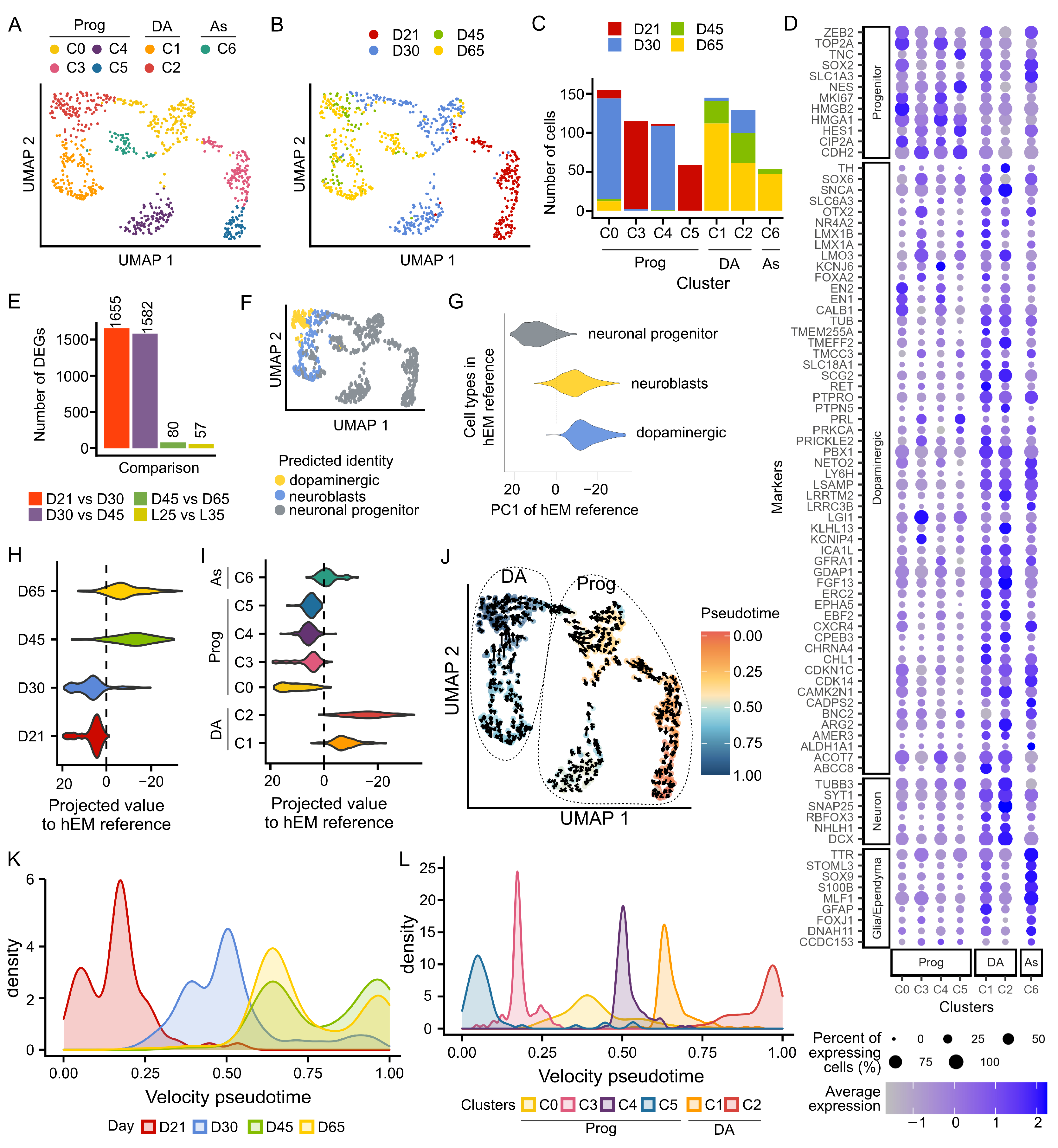 Cells 12 02860 g004 Cells 12 02860 g004