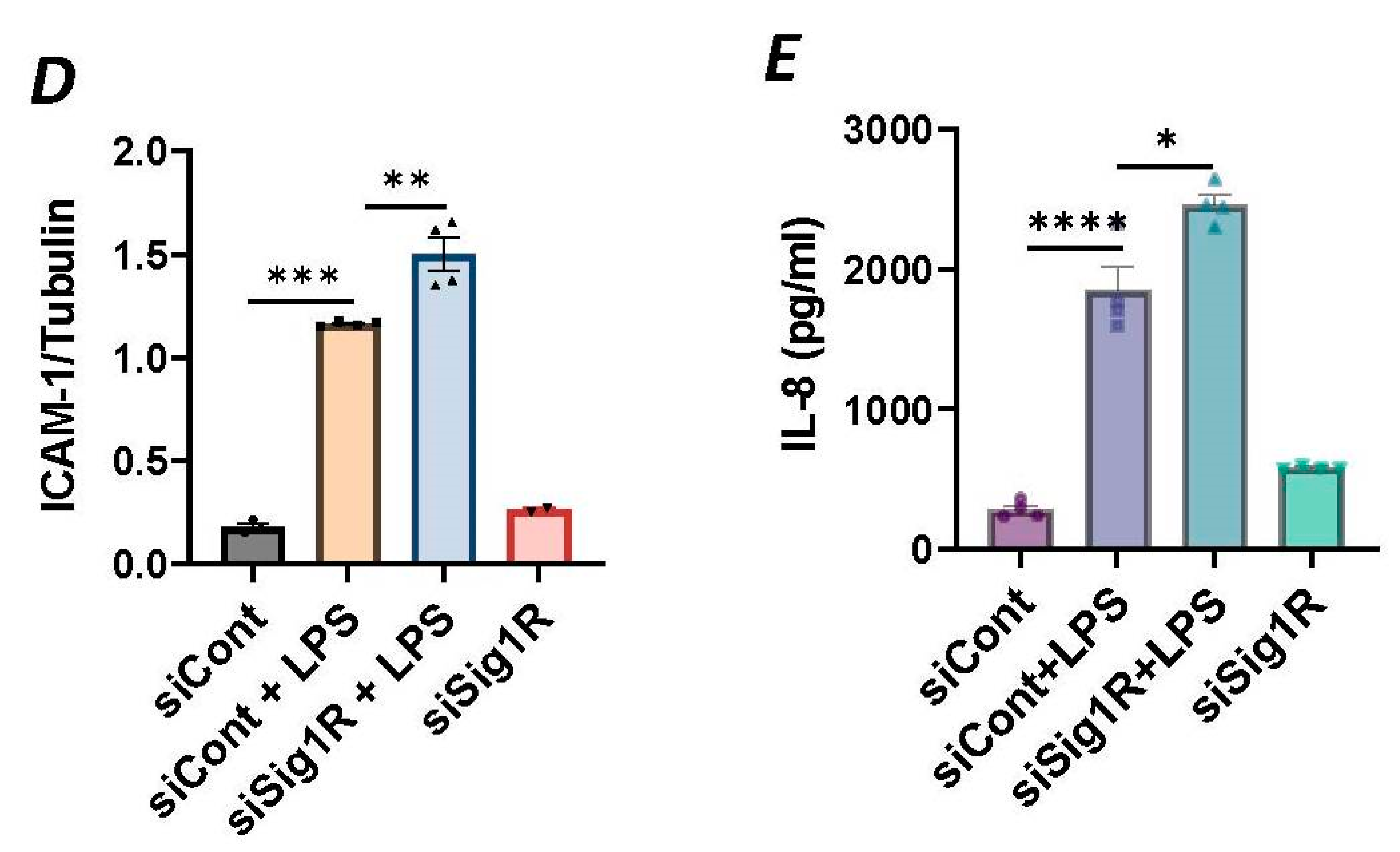 Cells 13 00005 g001b