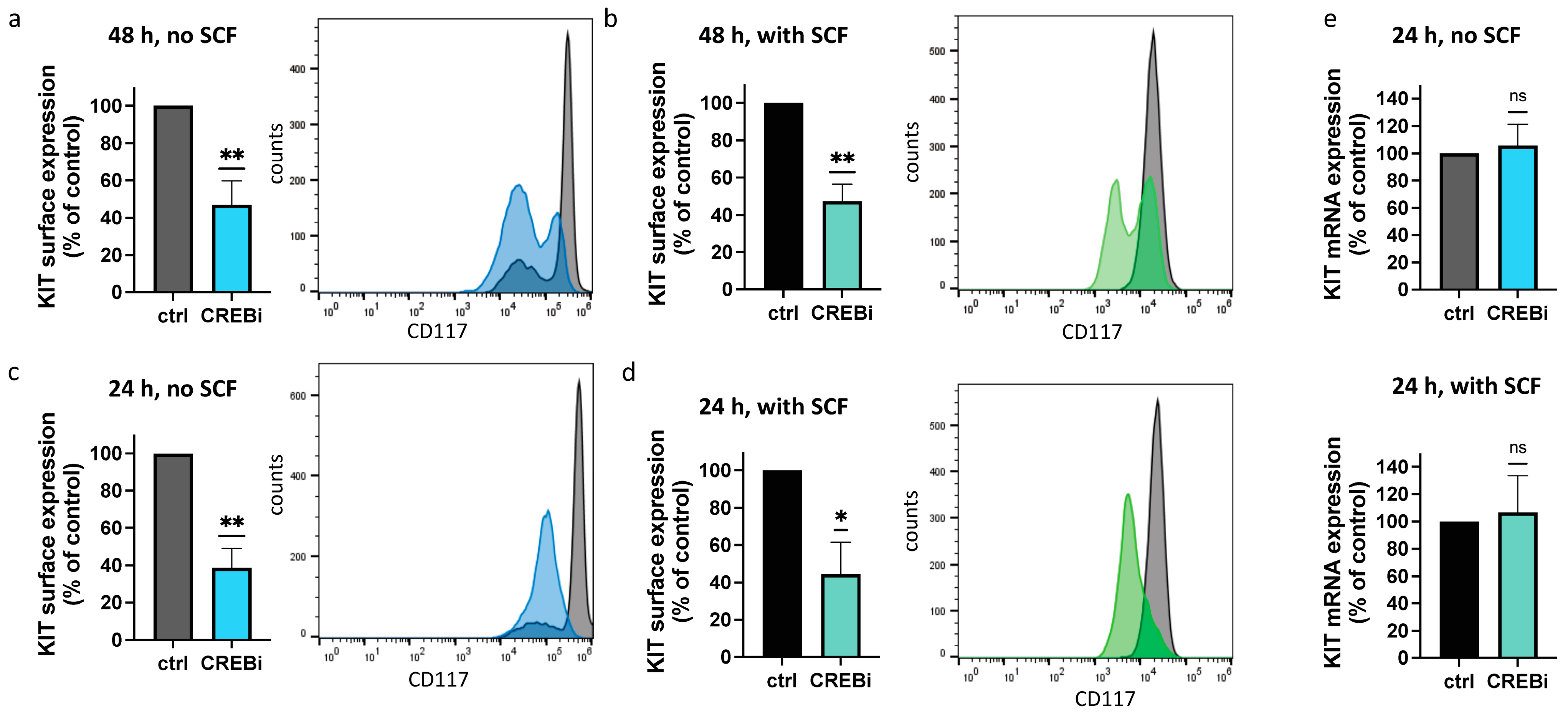 Cells 13 00042 g001 Cells 13 00042 g001