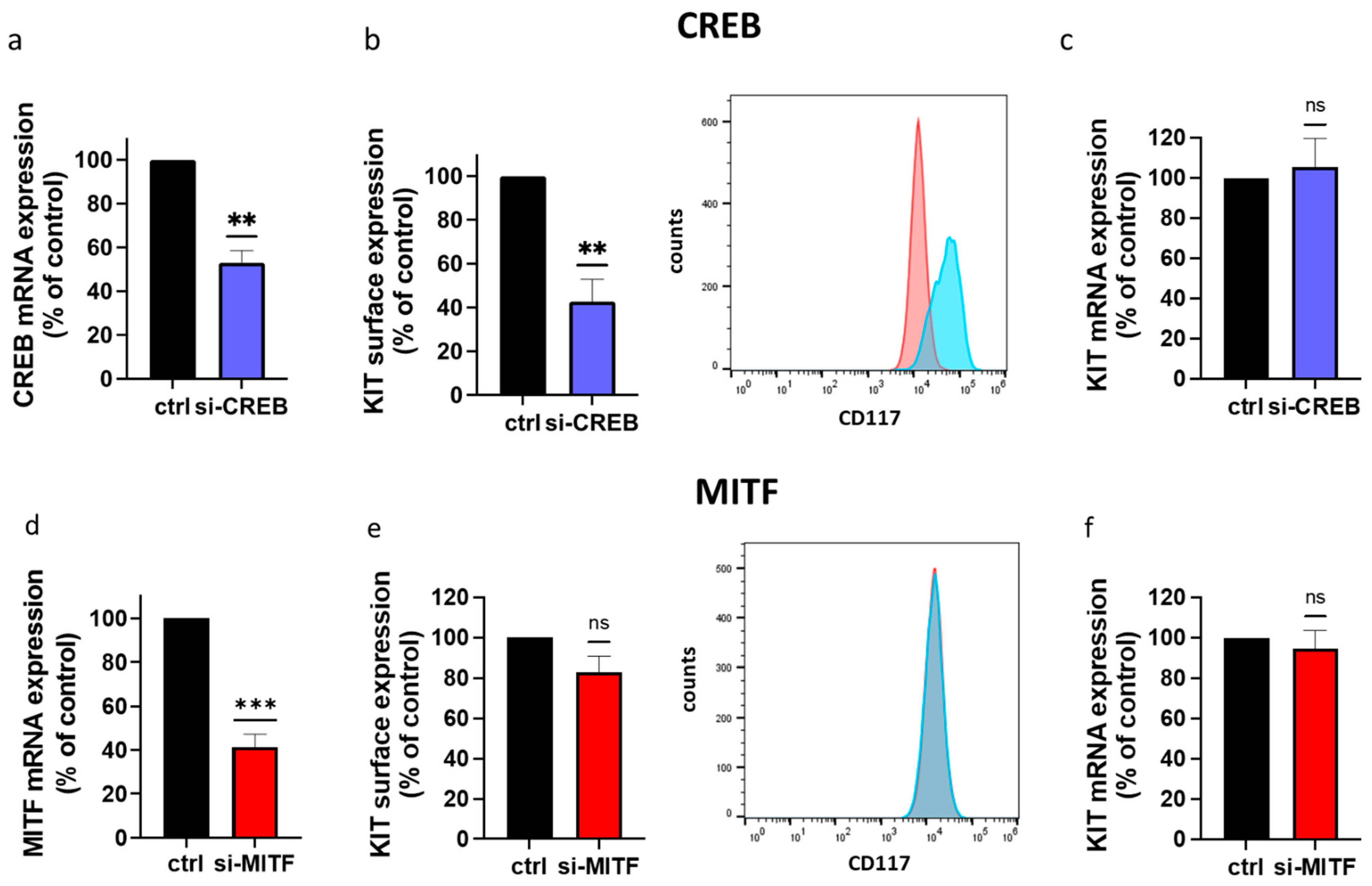 Cells 13 00042 g002 Cells 13 00042 g002