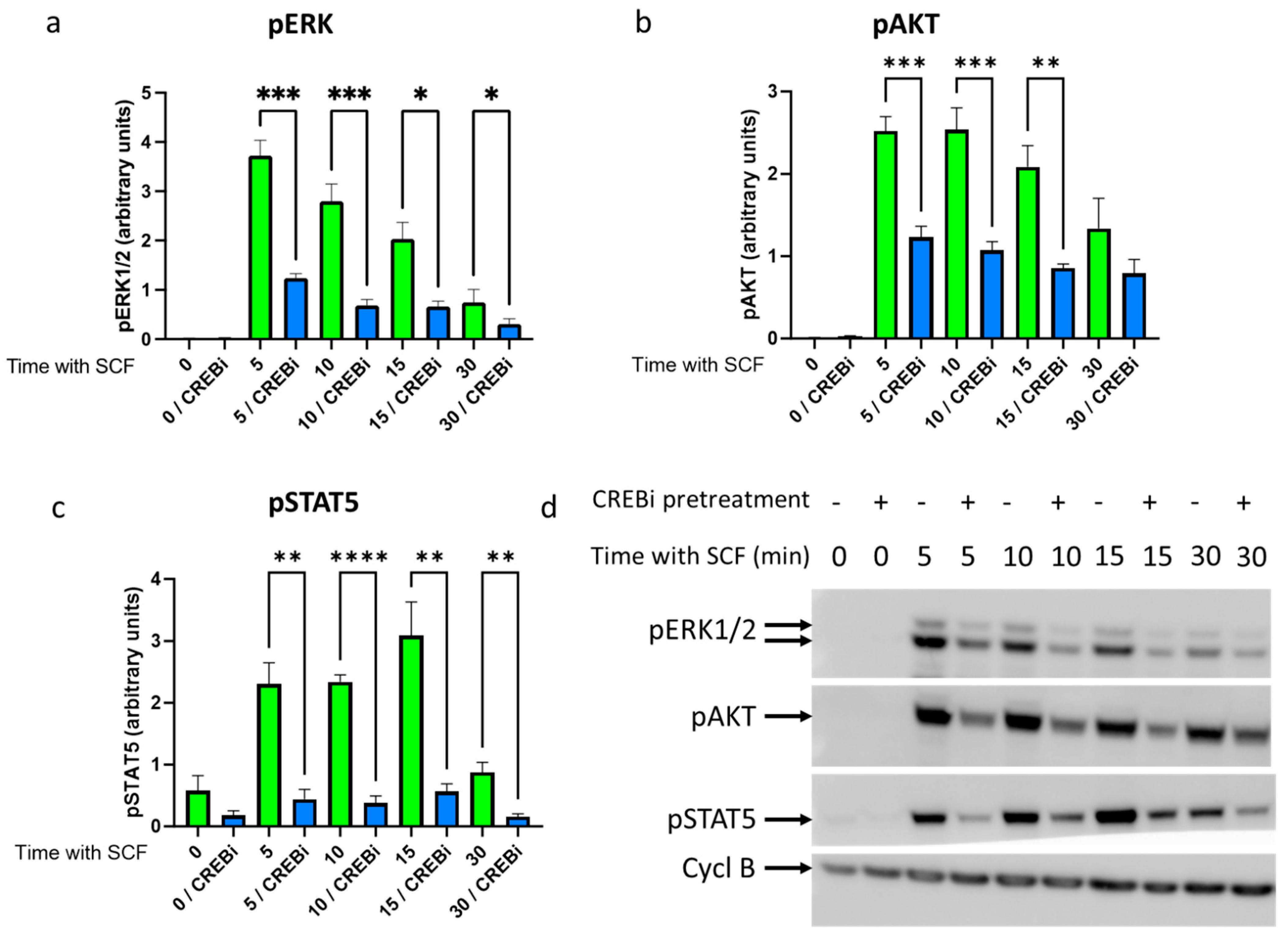 Cells 13 00042 g003 Cells 13 00042 g003