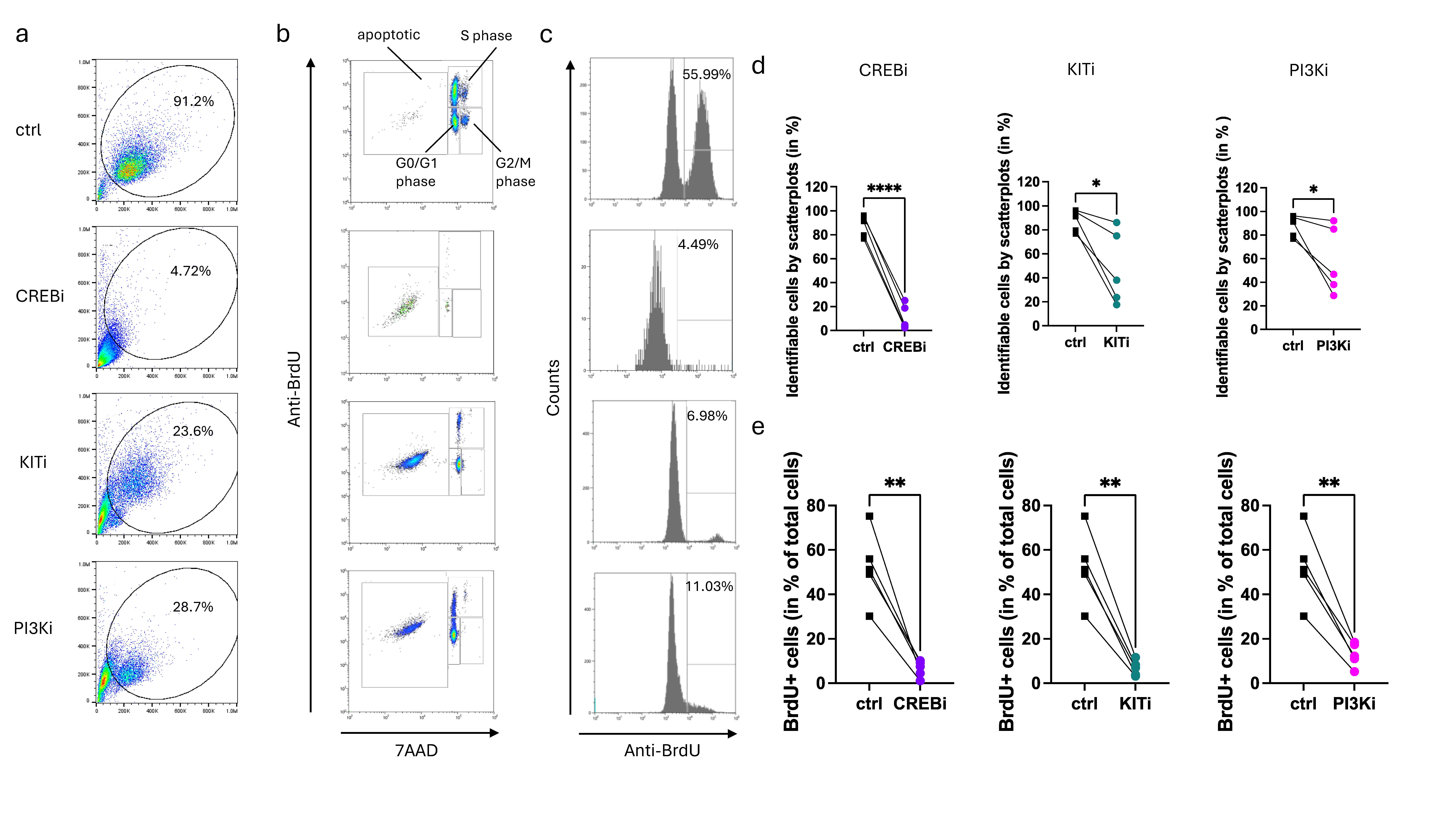 Cells 13 00042 g006 Cells 13 00042 g006