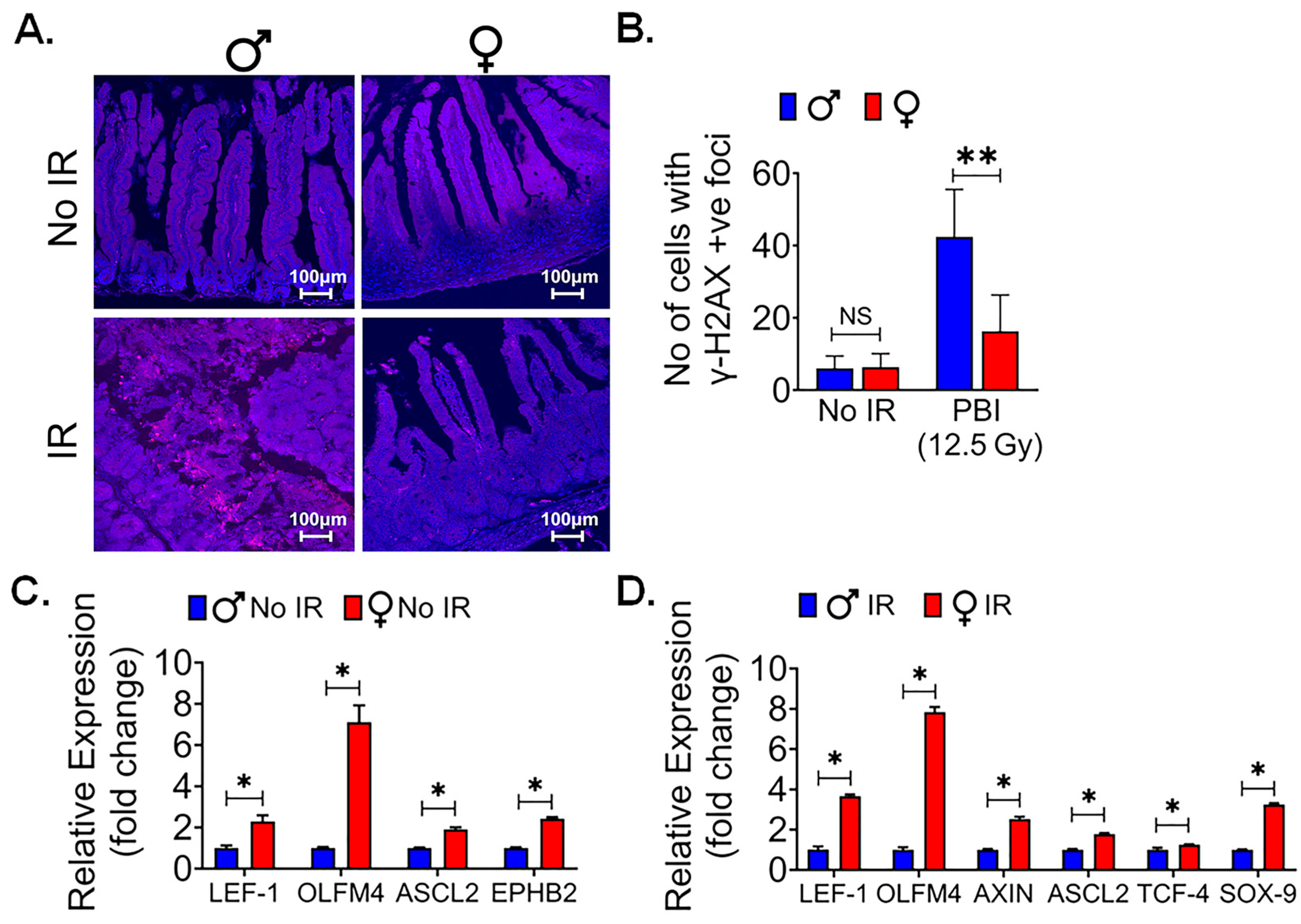 Cells 13 00046 g004 Cells 13 00046 g004