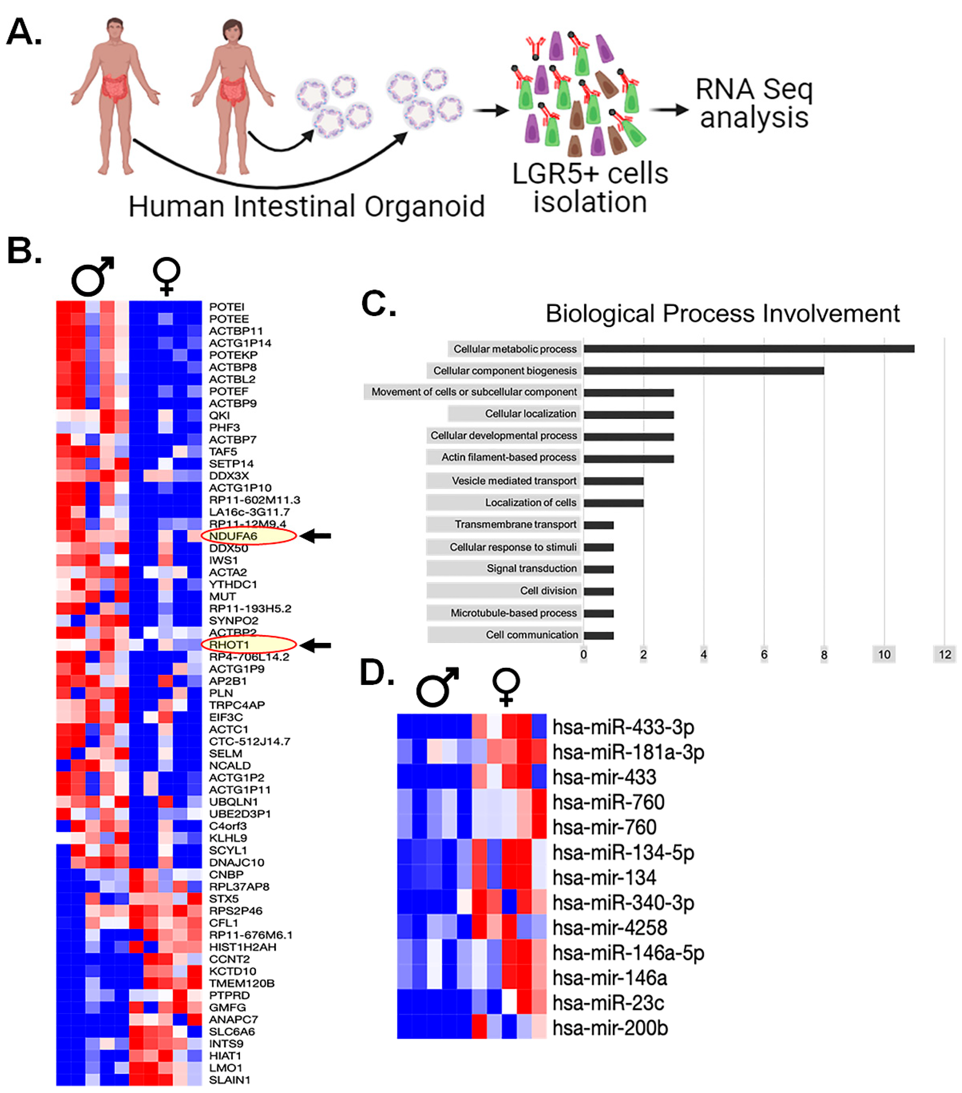 Cells 13 00046 g008 Cells 13 00046 g008