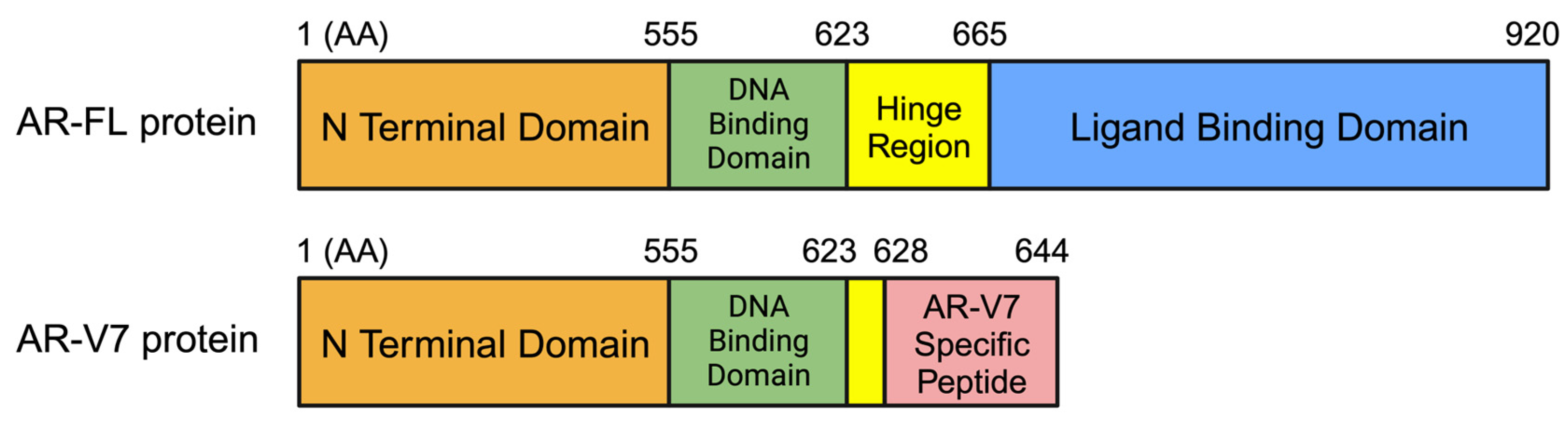 Cells 13 00104 g001 Cells 13 00104 g001