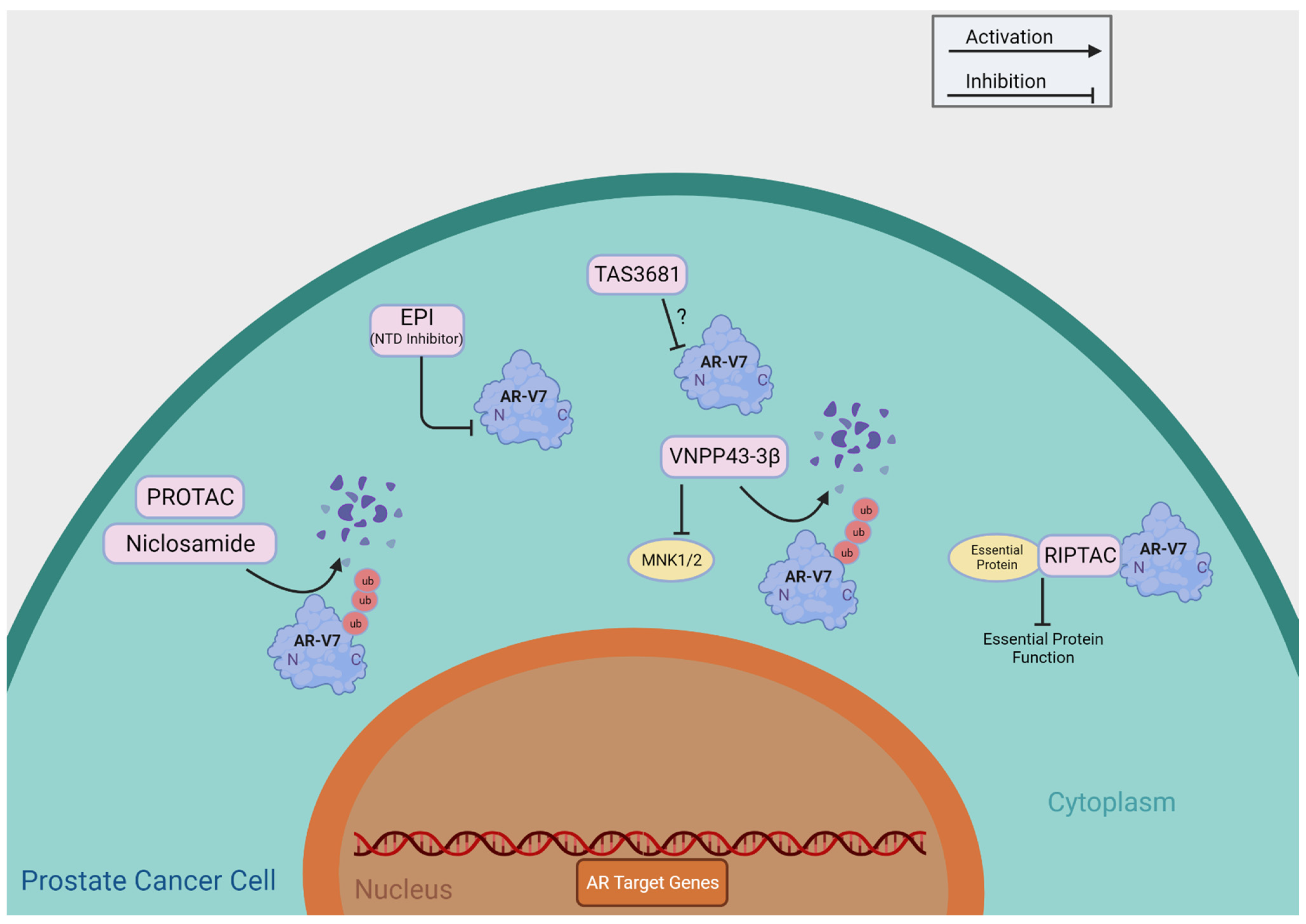 Cells 13 00104 g003 Cells 13 00104 g003