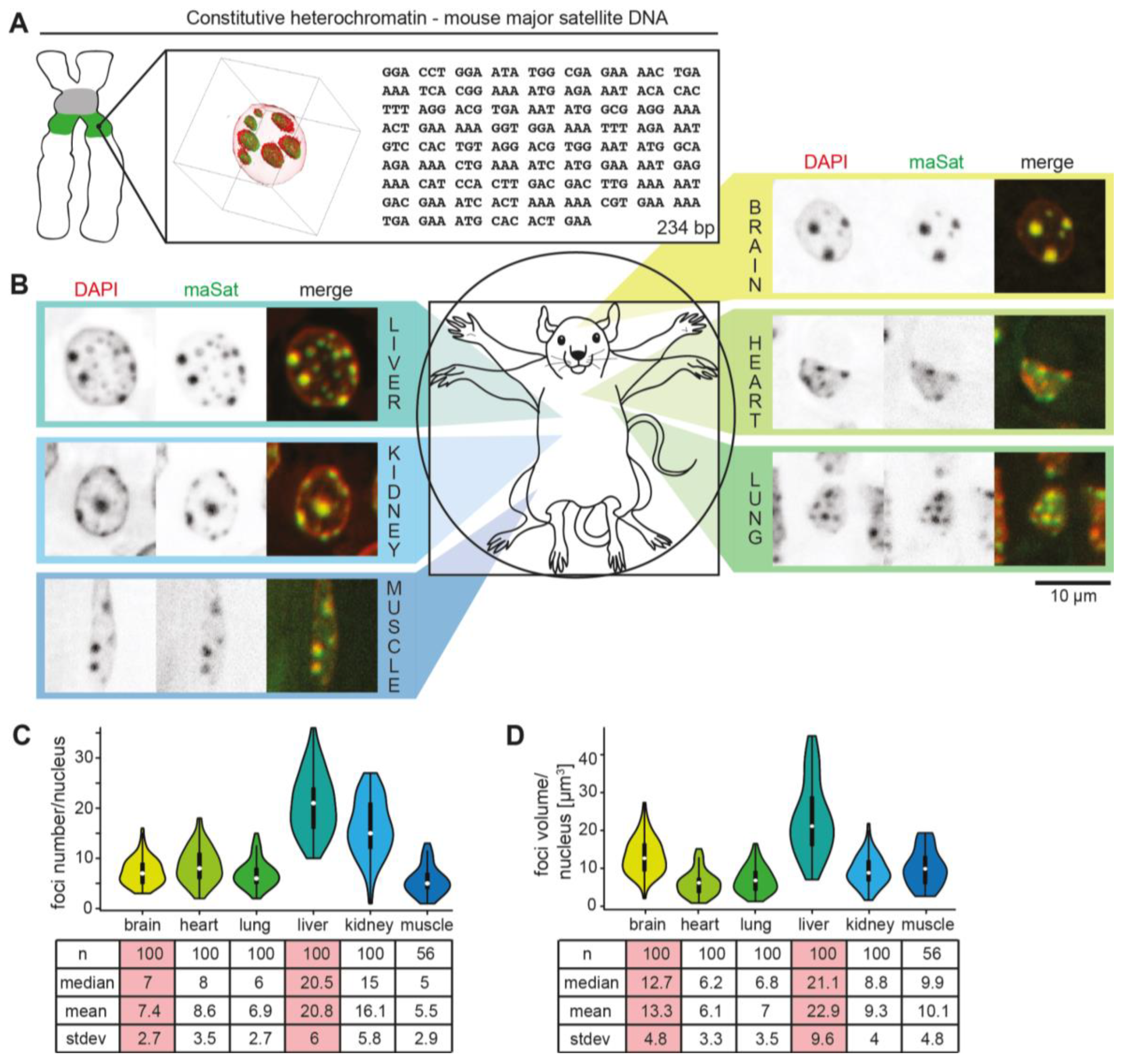 Cells 13 00139 g001 Cells 13 00139 g001