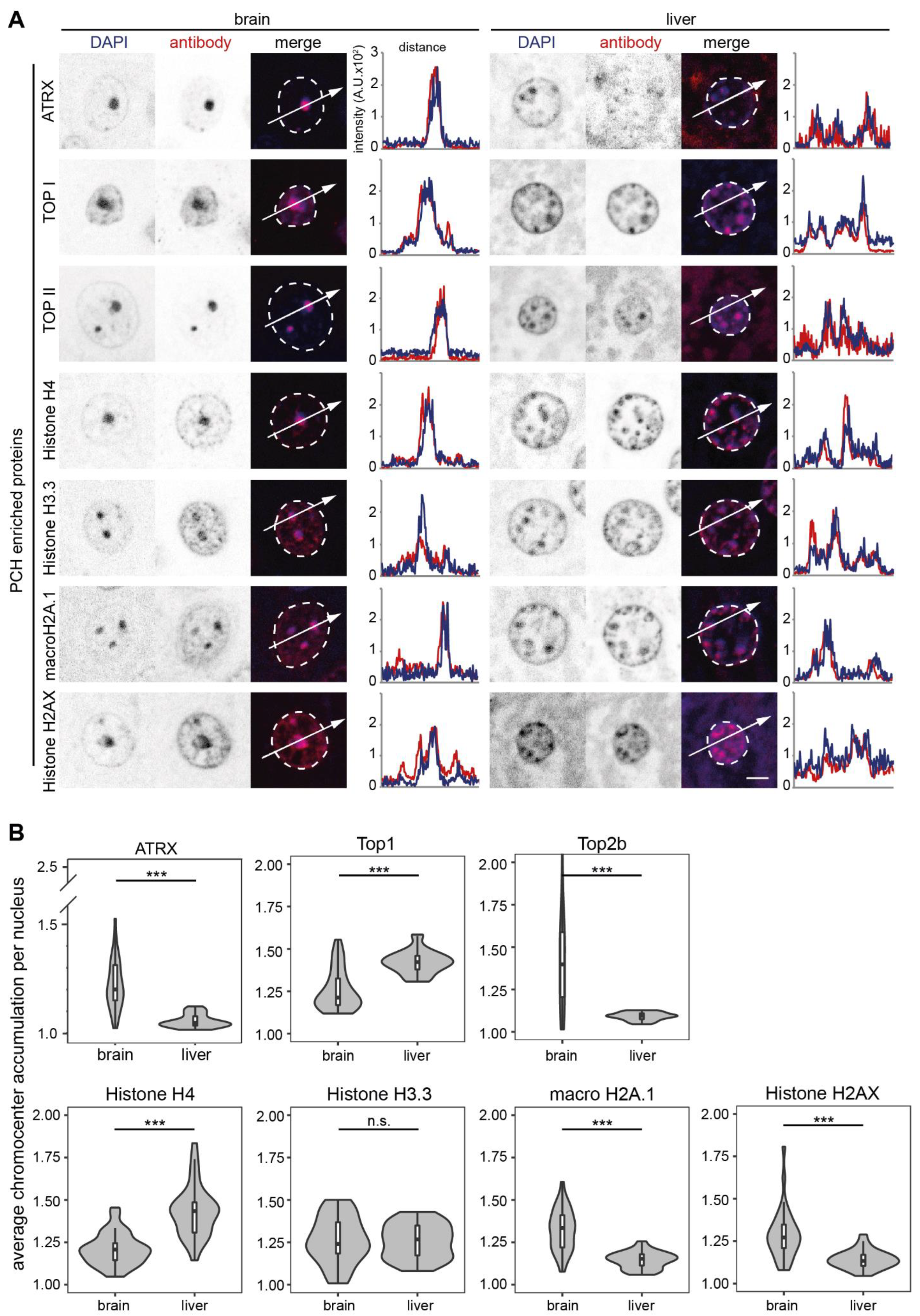 Cells 13 00139 g005 Cells 13 00139 g005