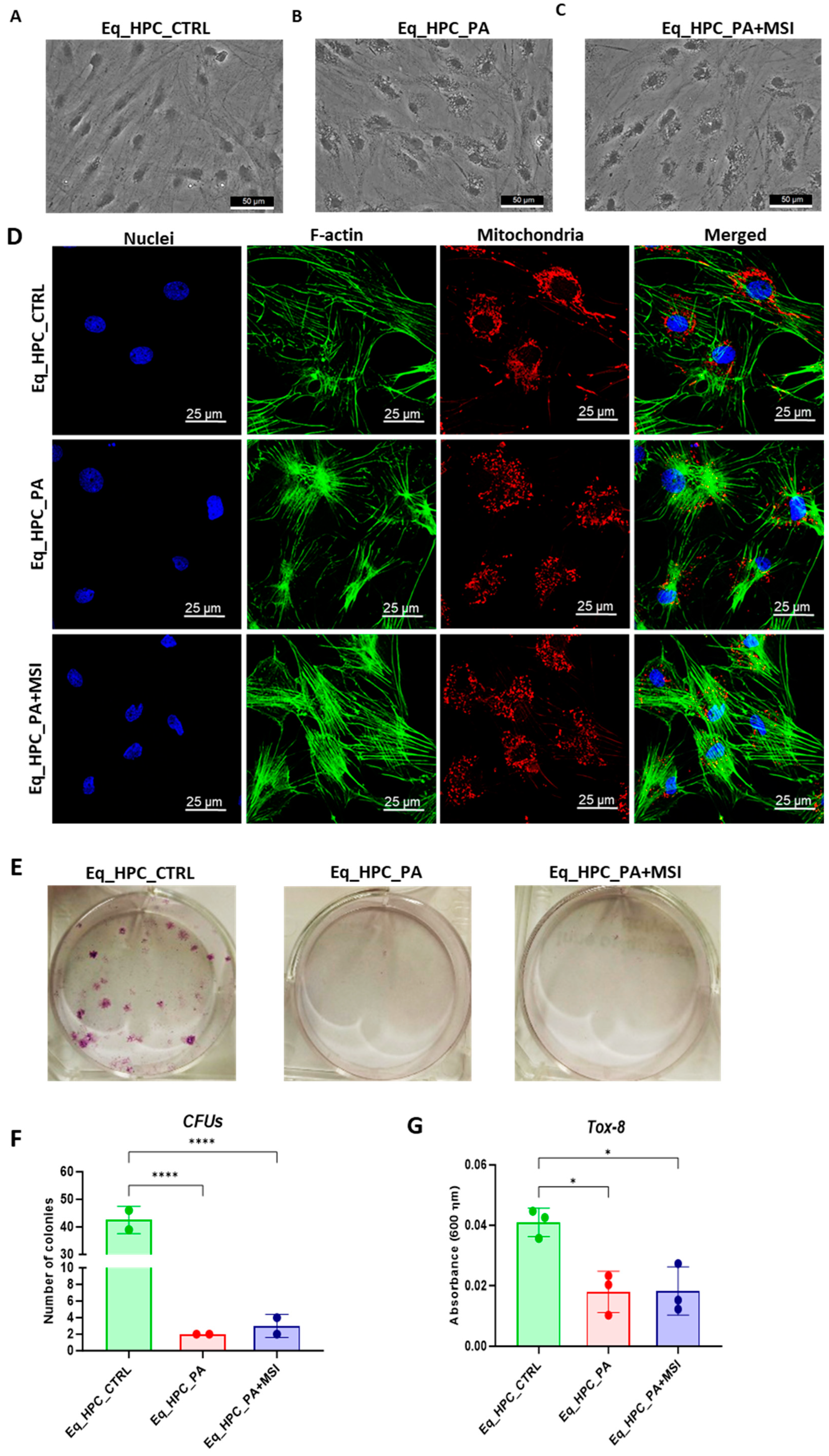 Cells 13 00152 g001a