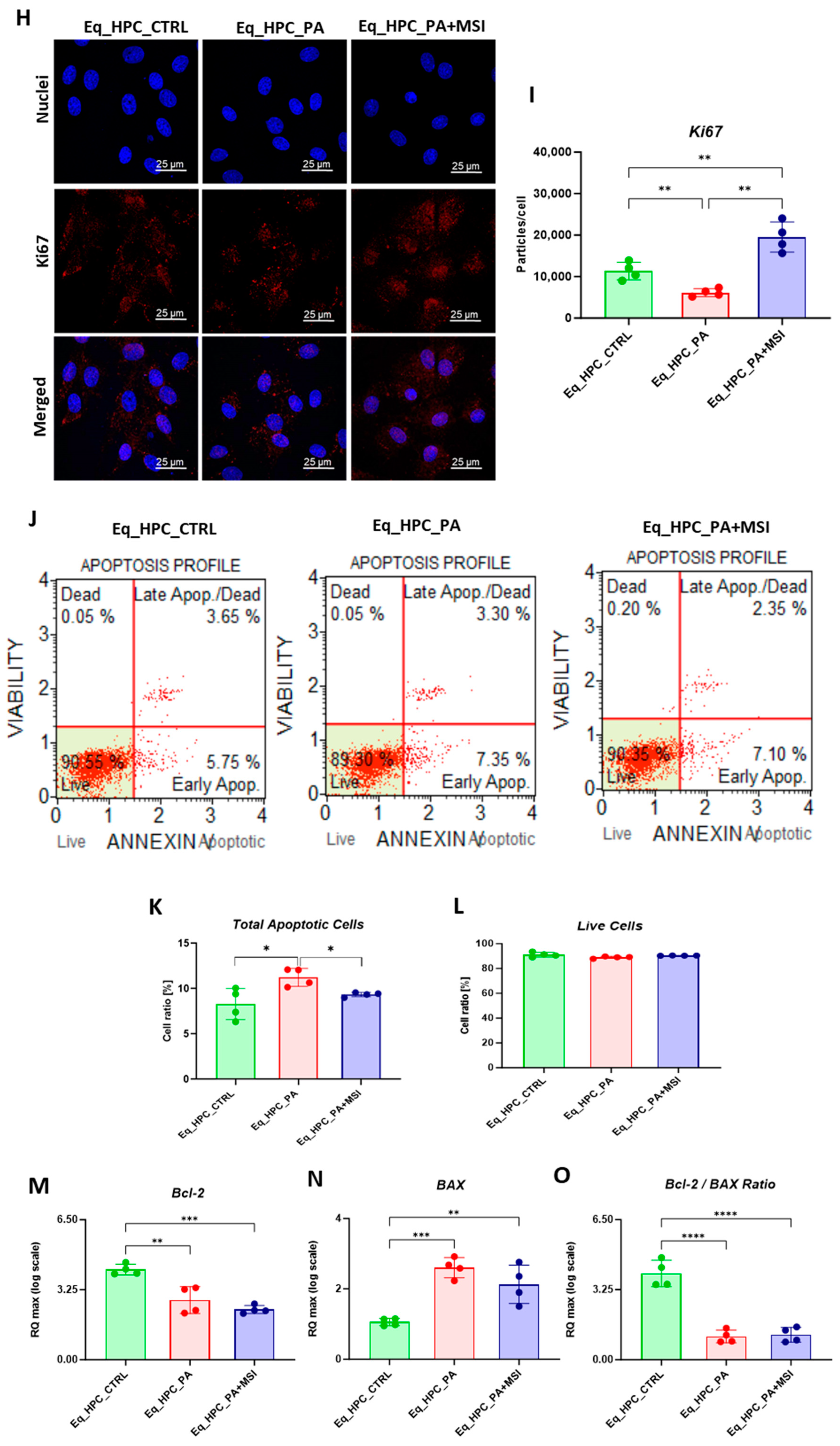 Cells 13 00152 g001b