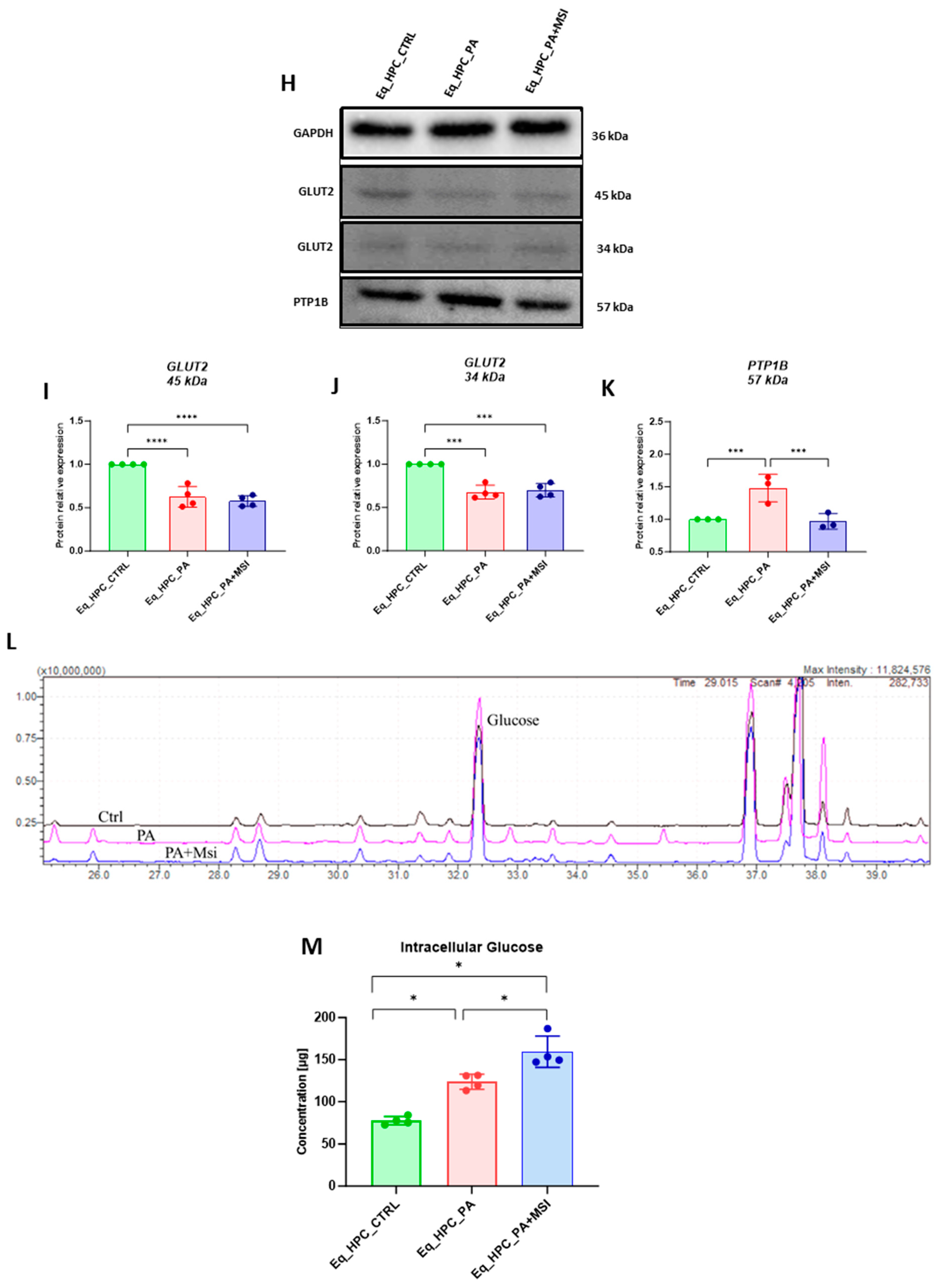 Cells 13 00152 g002b