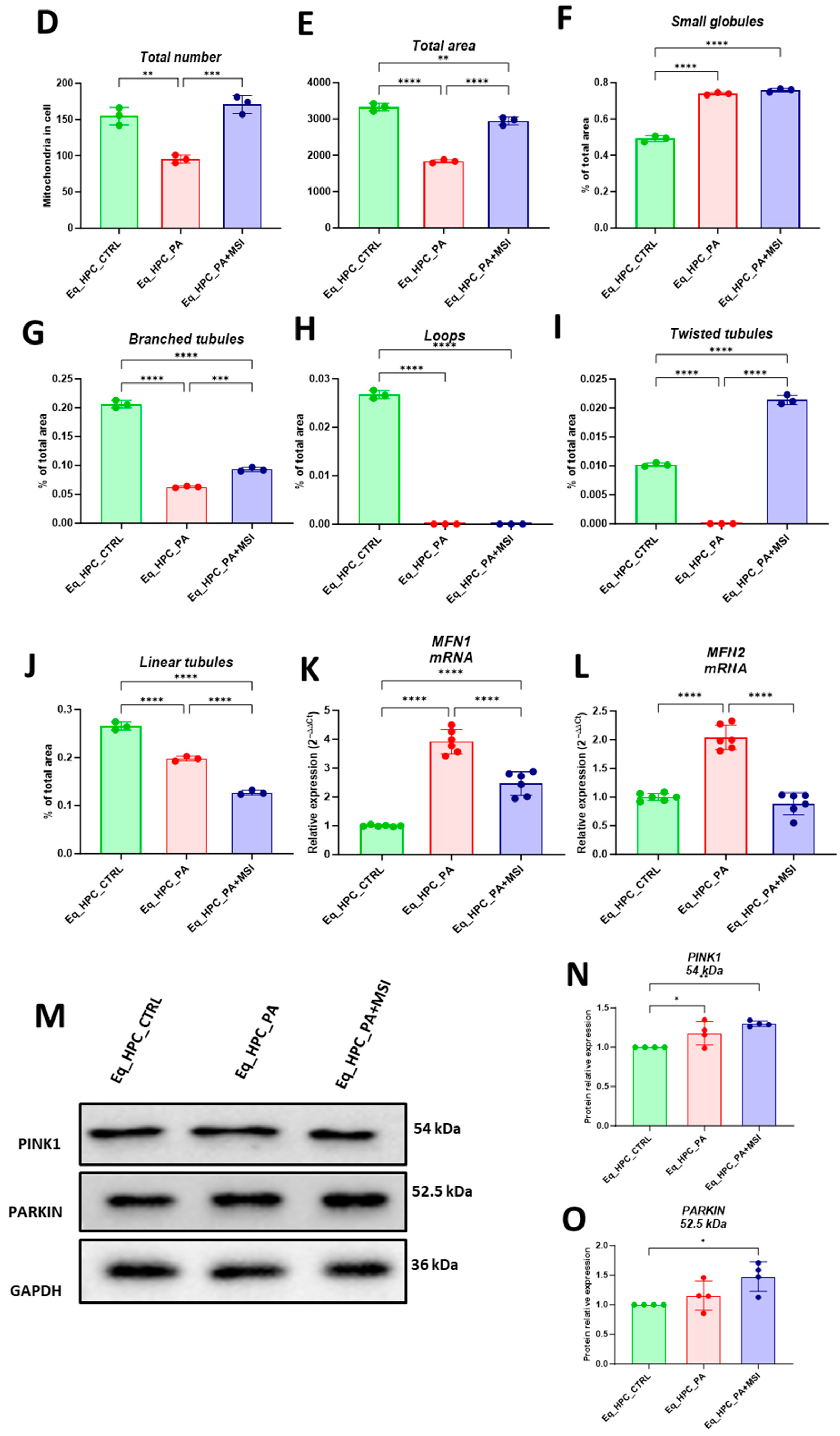 Cells 13 00152 g003b