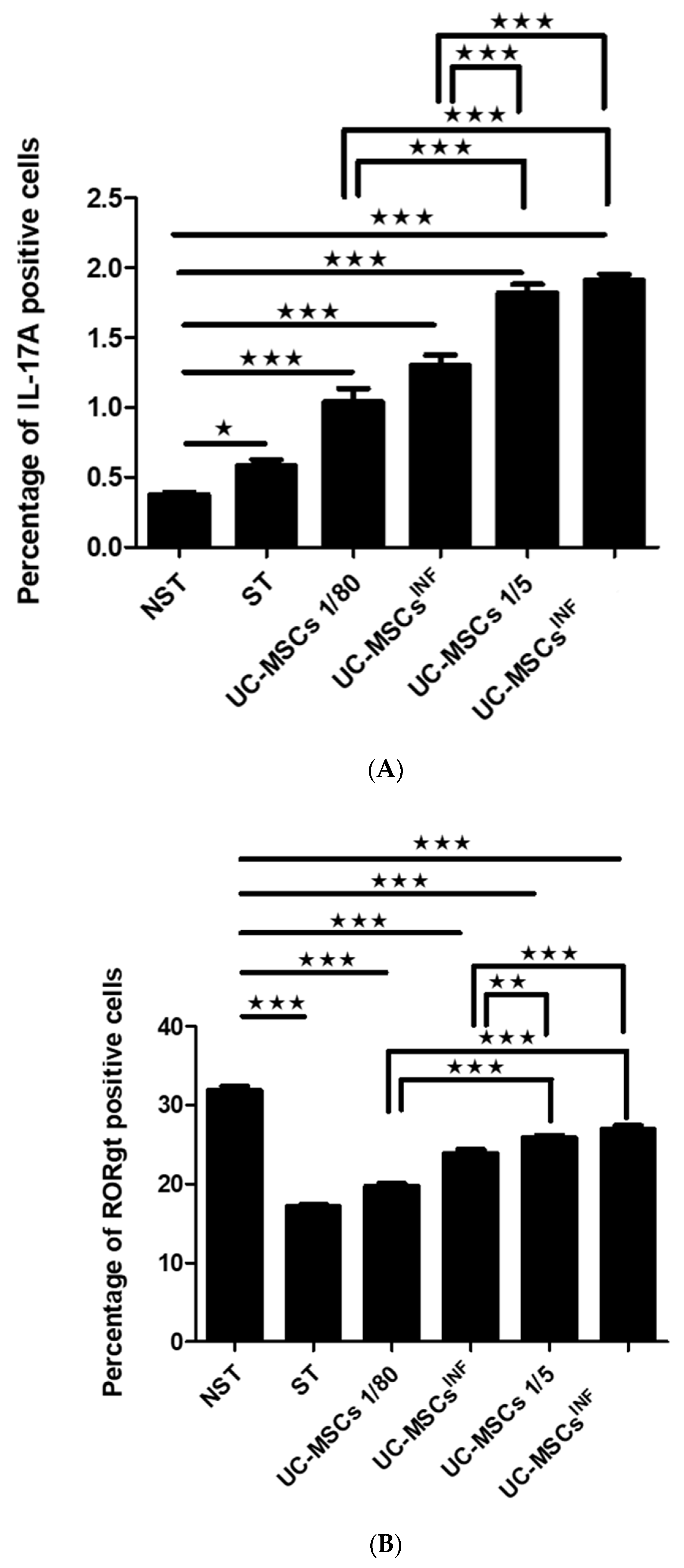 Cells 13 00169 g004a
