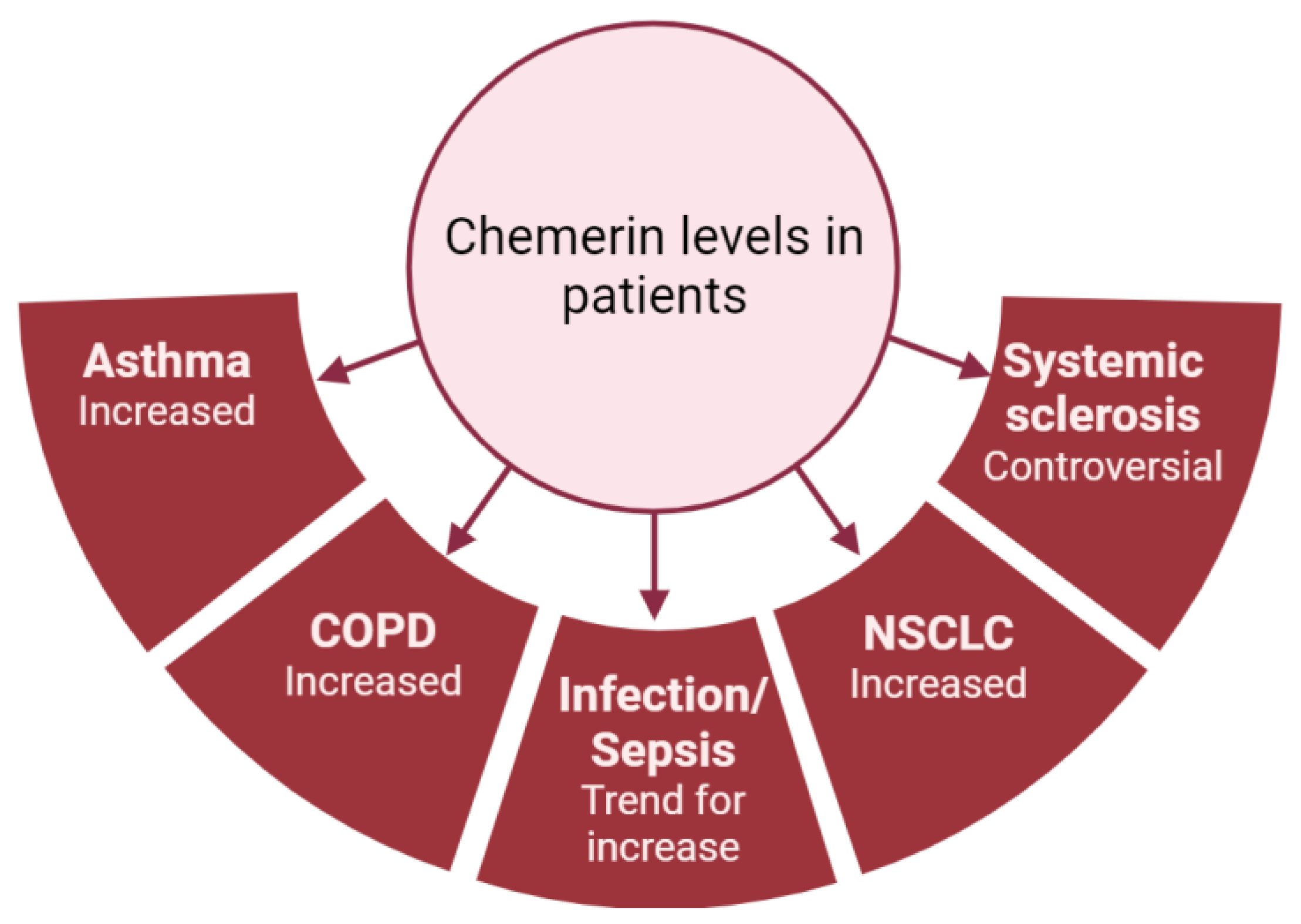 Cells 13 00171 g004 Cells 13 00171 g004