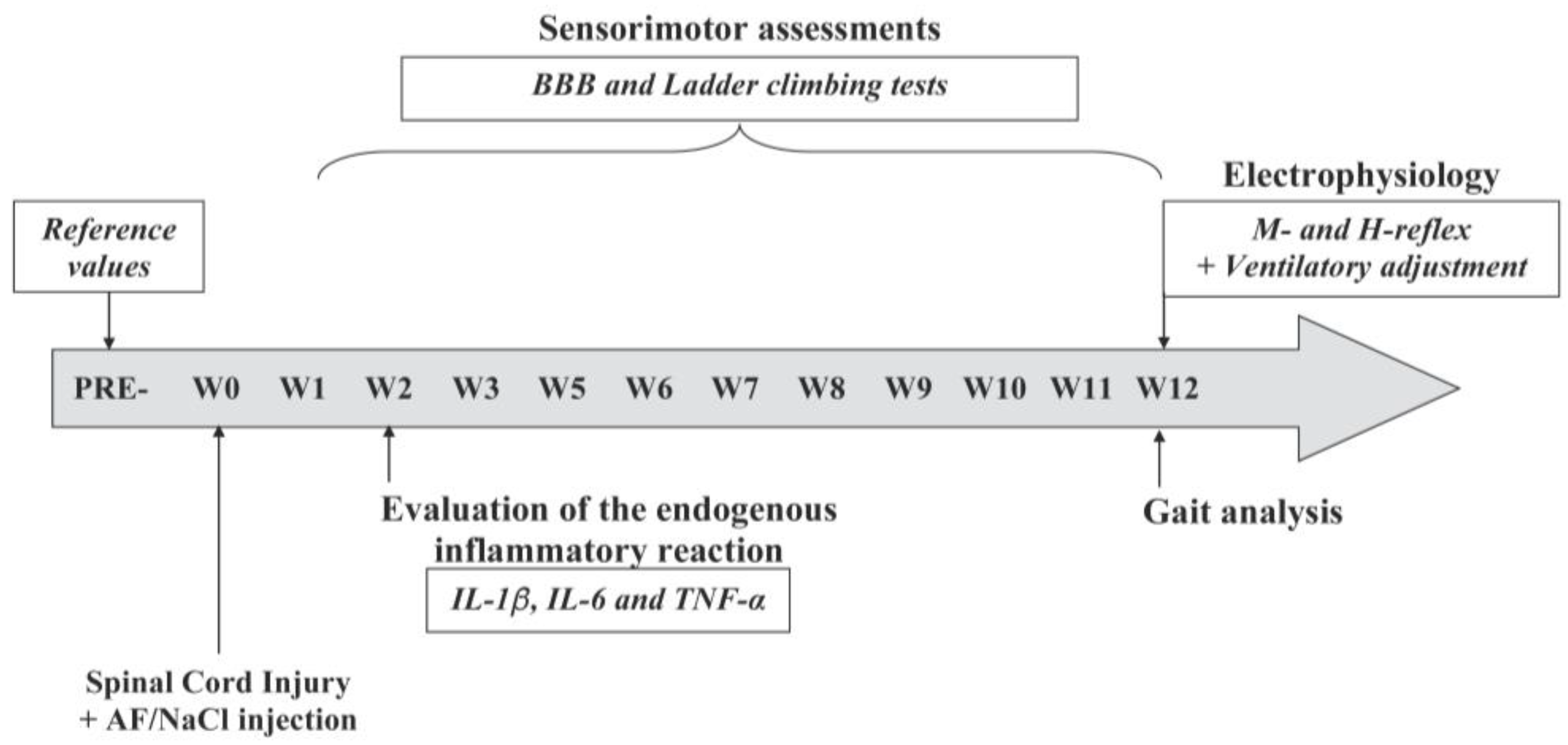 Cells 13 00182 g001 Cells 13 00182 g001