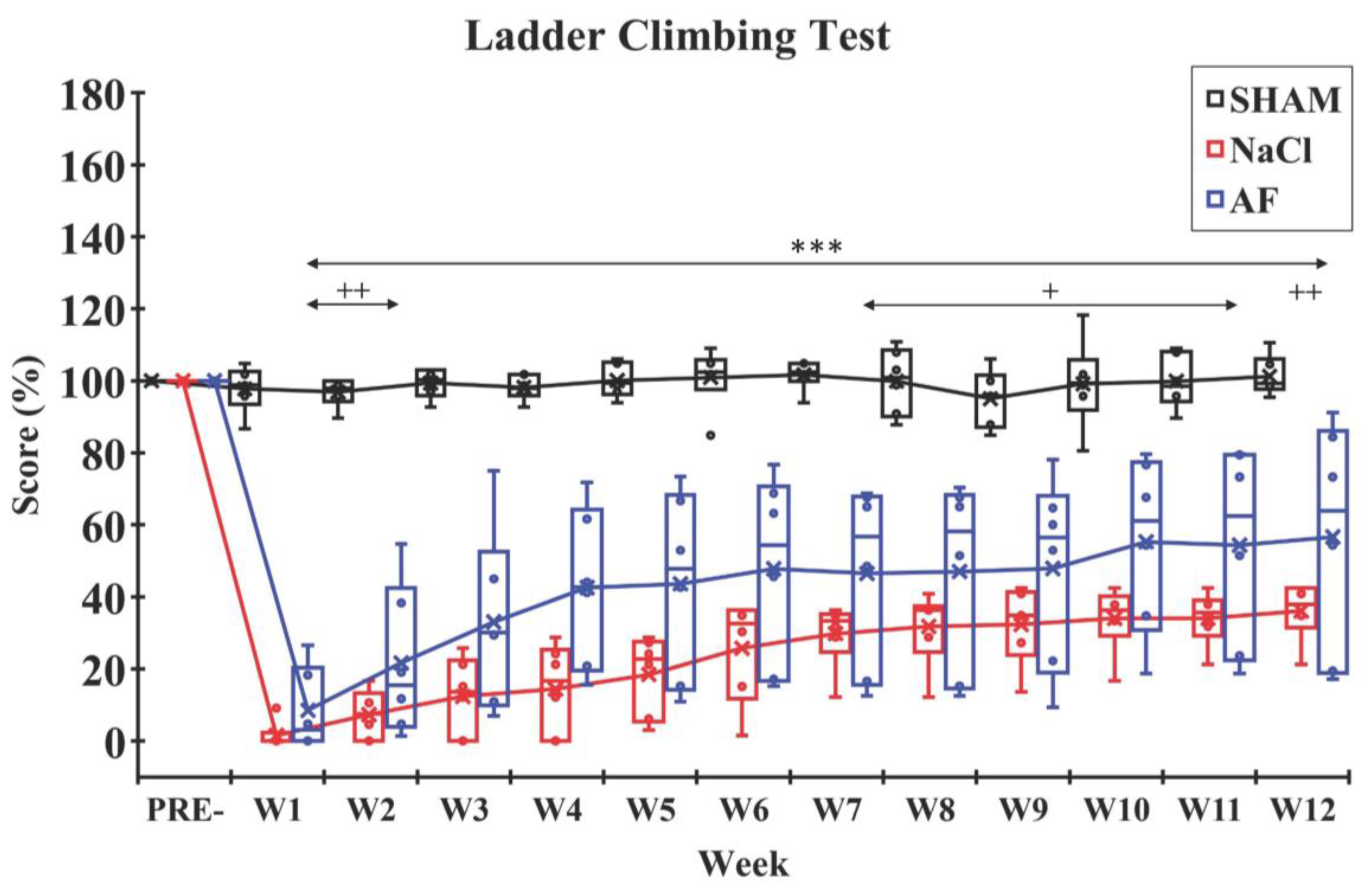Cells 13 00182 g006 Cells 13 00182 g006