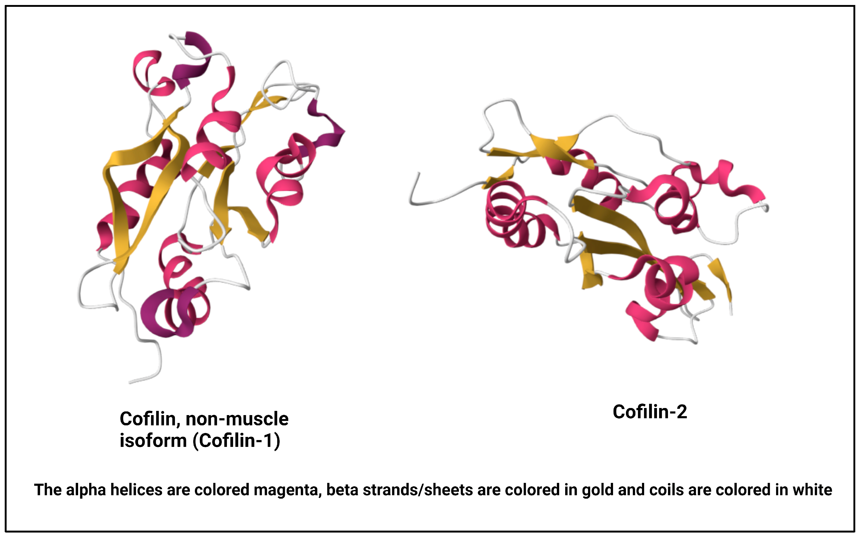 Cells 13 00188 g001 Cells 13 00188 g001