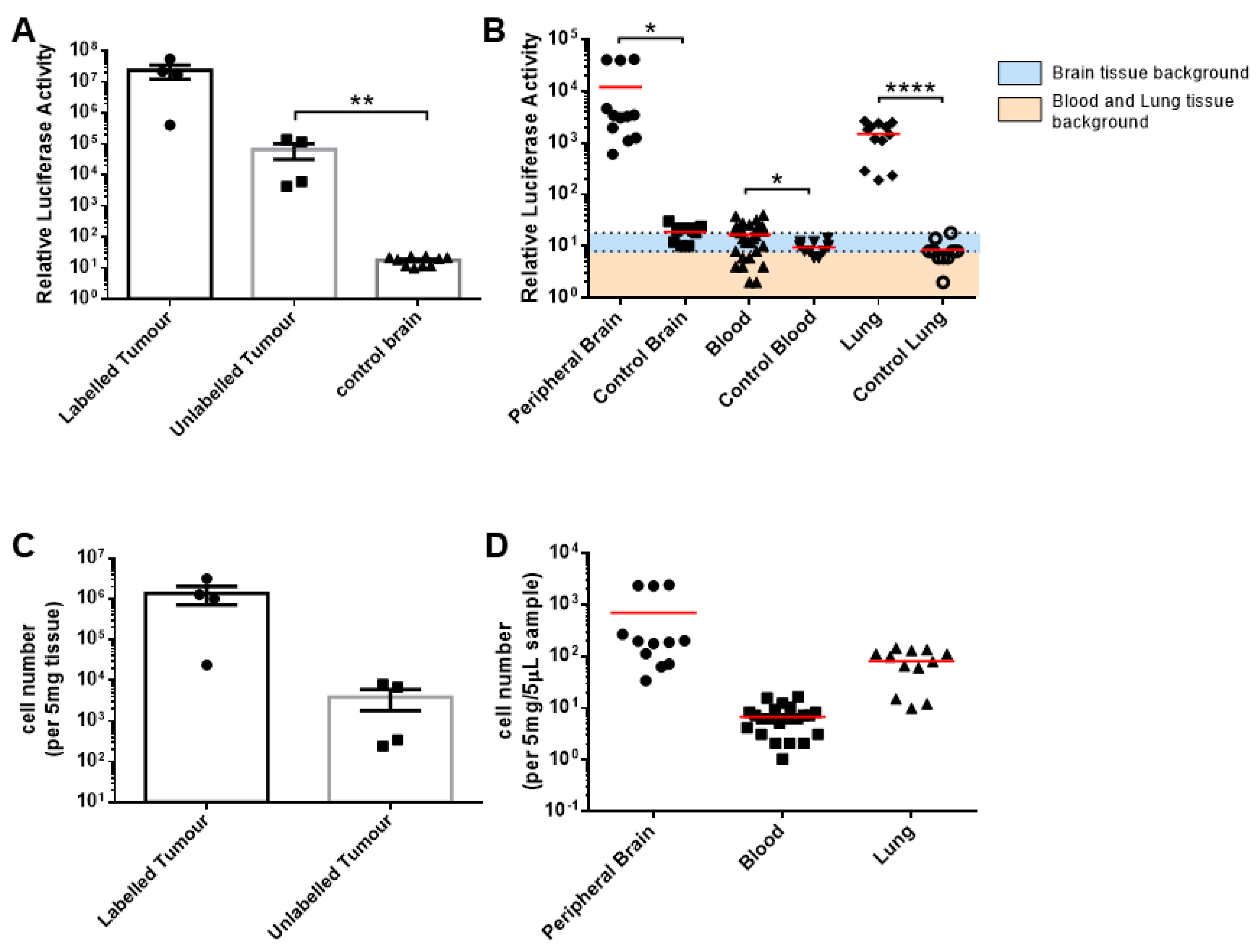 Cells 13 00192 g004 Cells 13 00192 g004