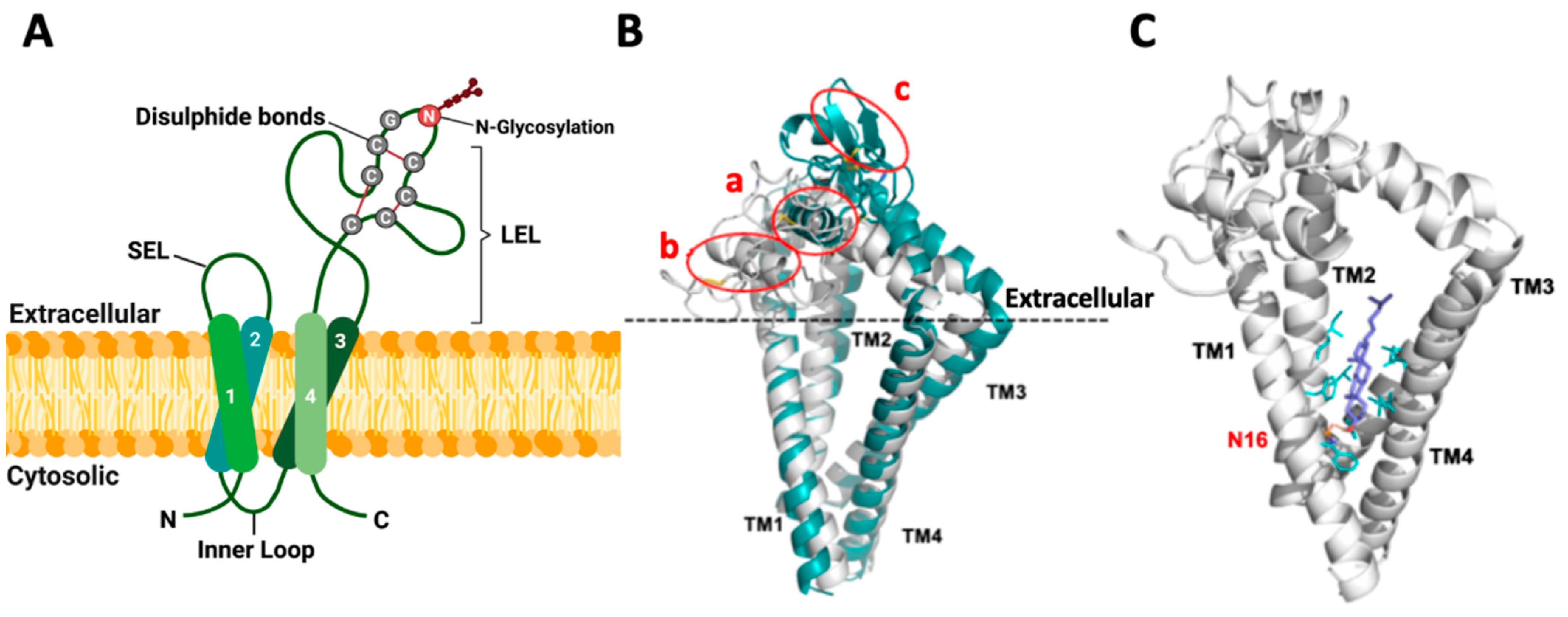 Cells 13 00193 g001 Cells 13 00193 g001