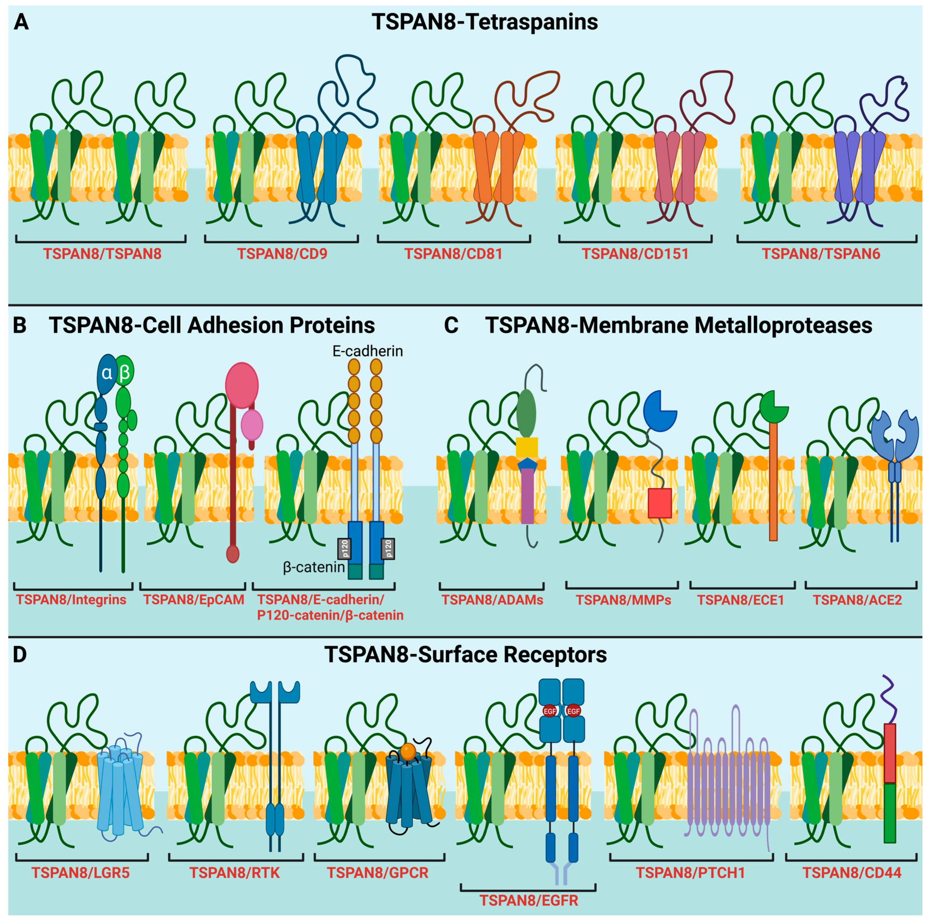 Cells 13 00193 g002 Cells 13 00193 g002