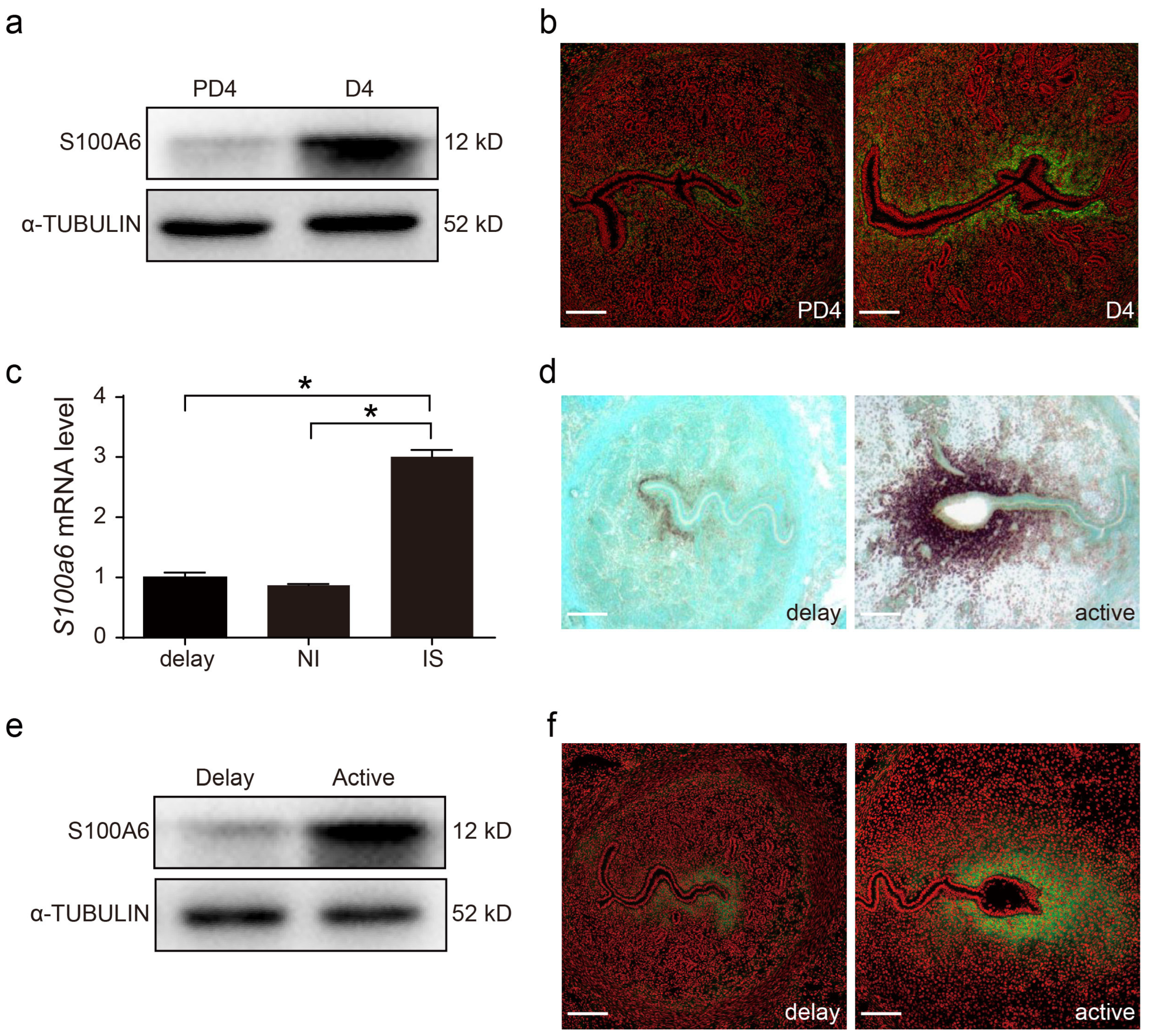 Cells 13 00206 g002 Cells 13 00206 g002