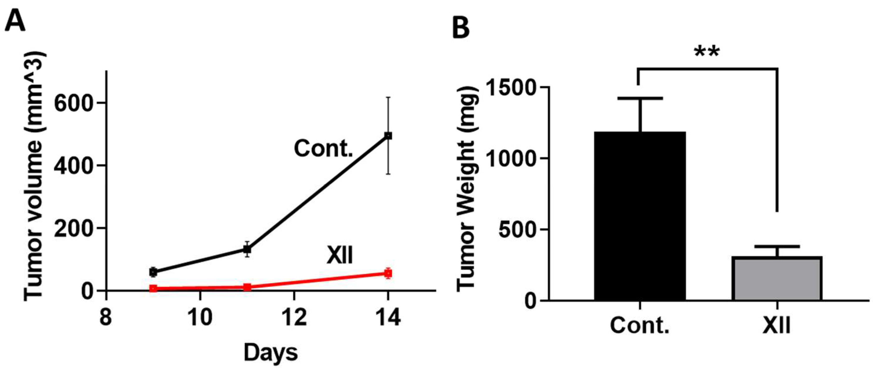 Cells 13 00211 g005 Cells 13 00211 g005