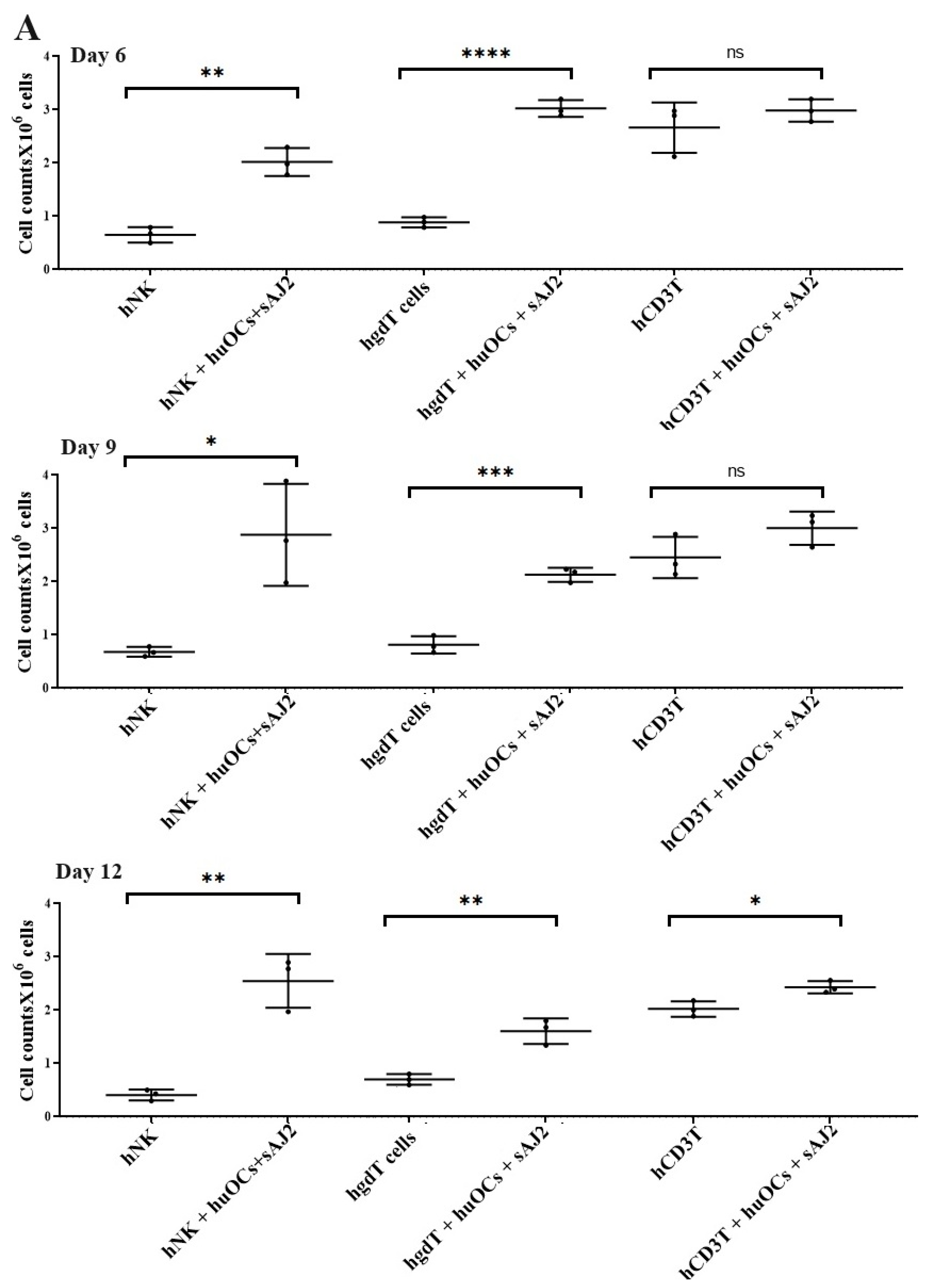 Cells 13 00213 g002a