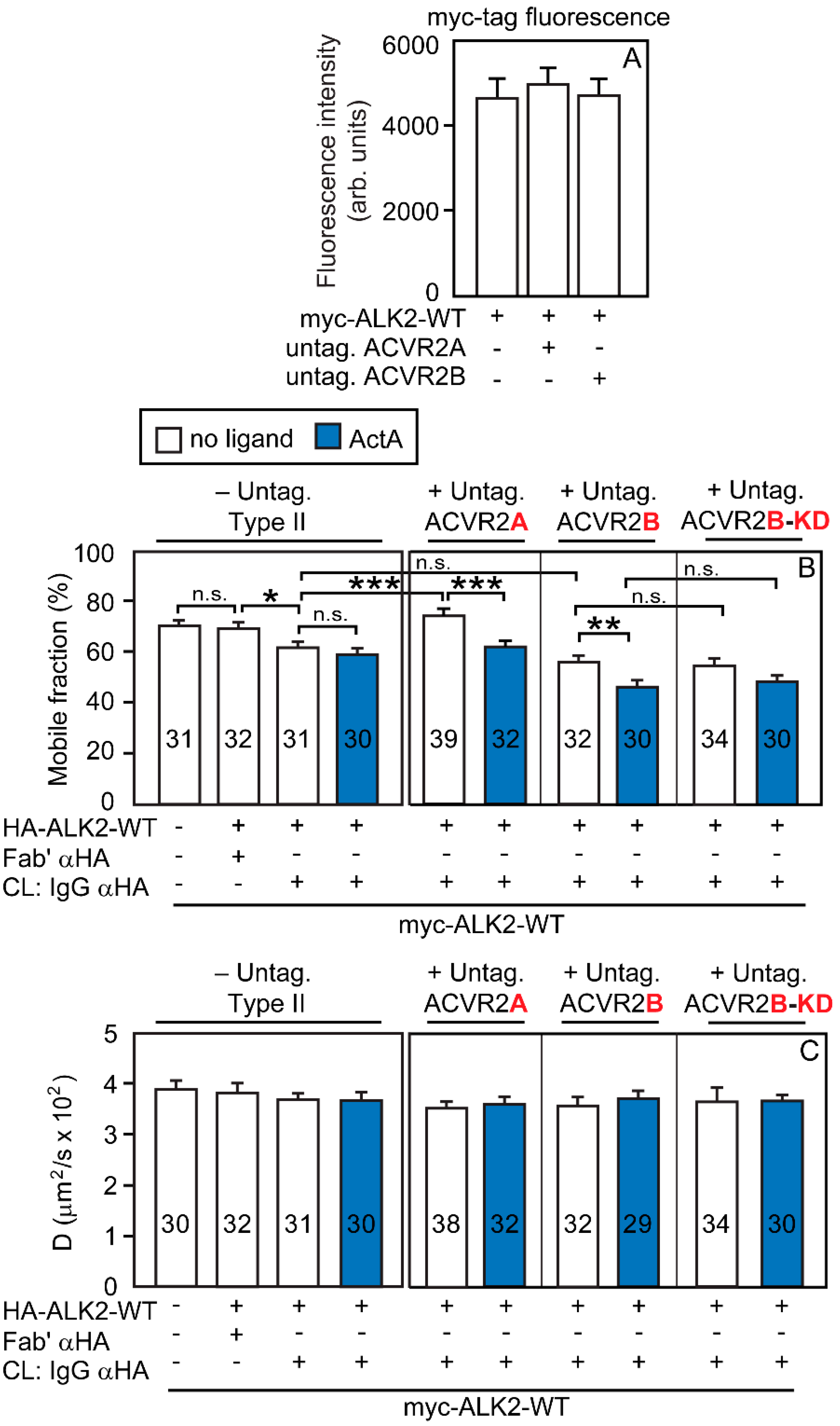 Cells 13 00221 g005 Cells 13 00221 g005