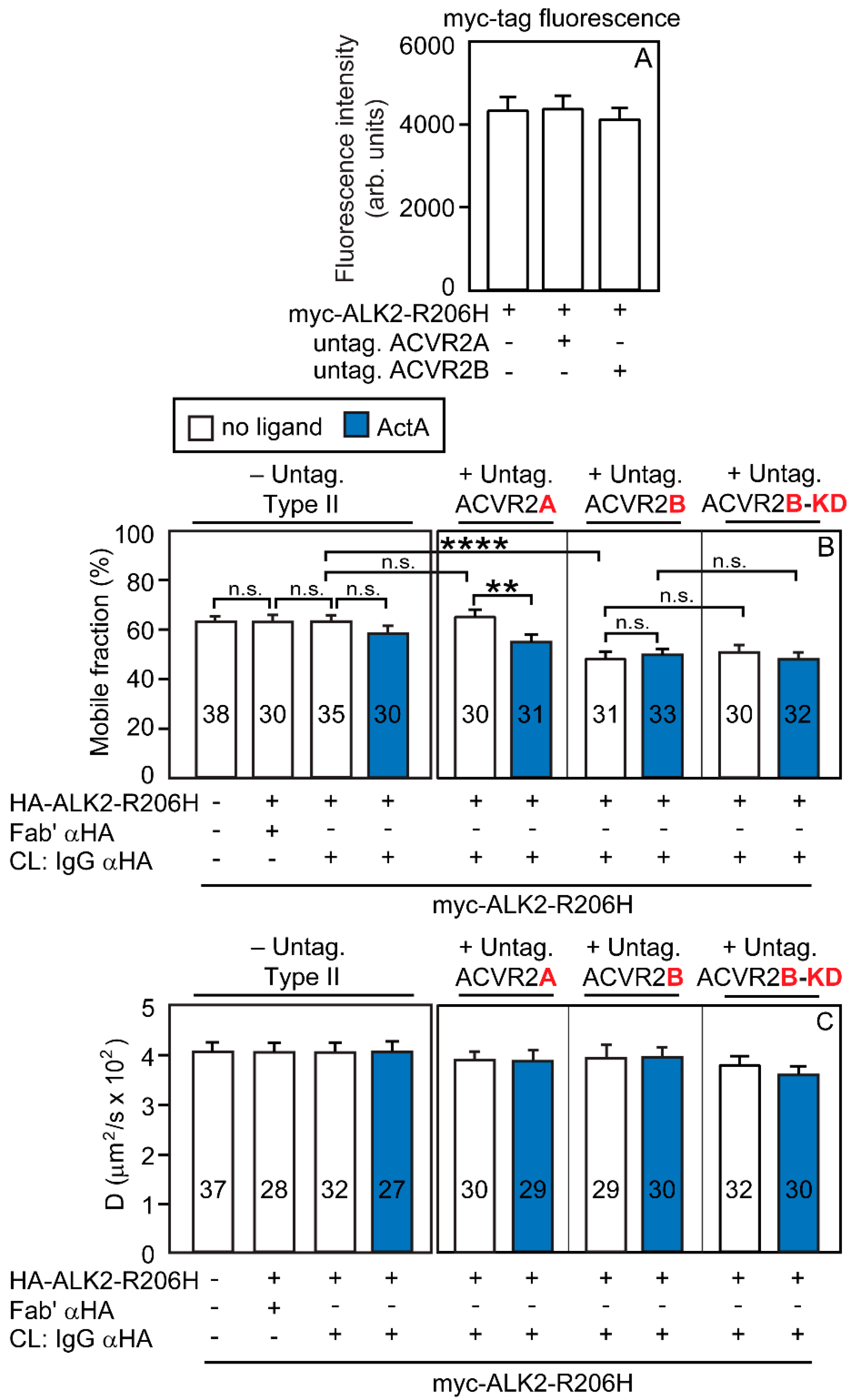Cells 13 00221 g006 Cells 13 00221 g006