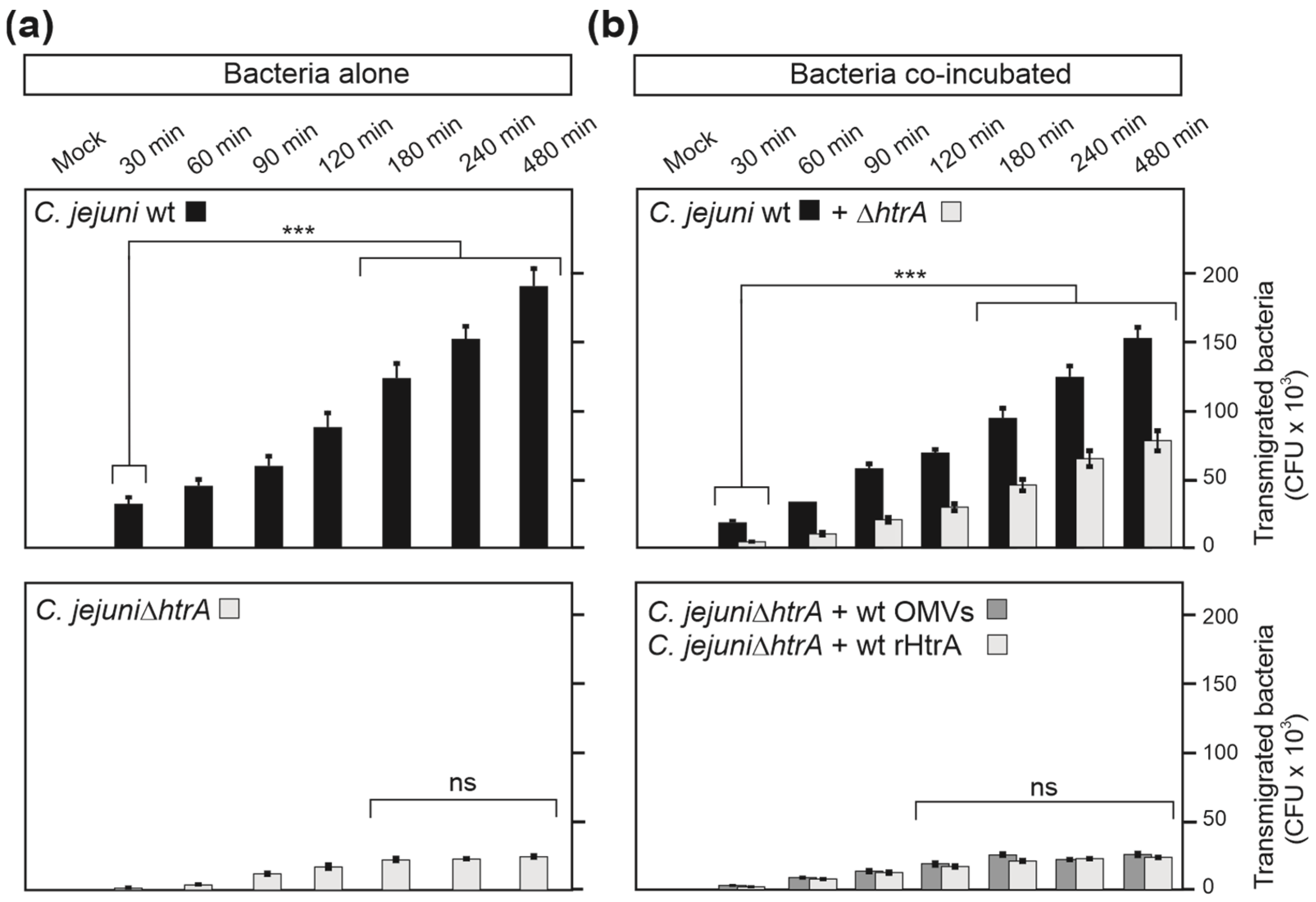 Cells 13 00224 g008 Cells 13 00224 g008